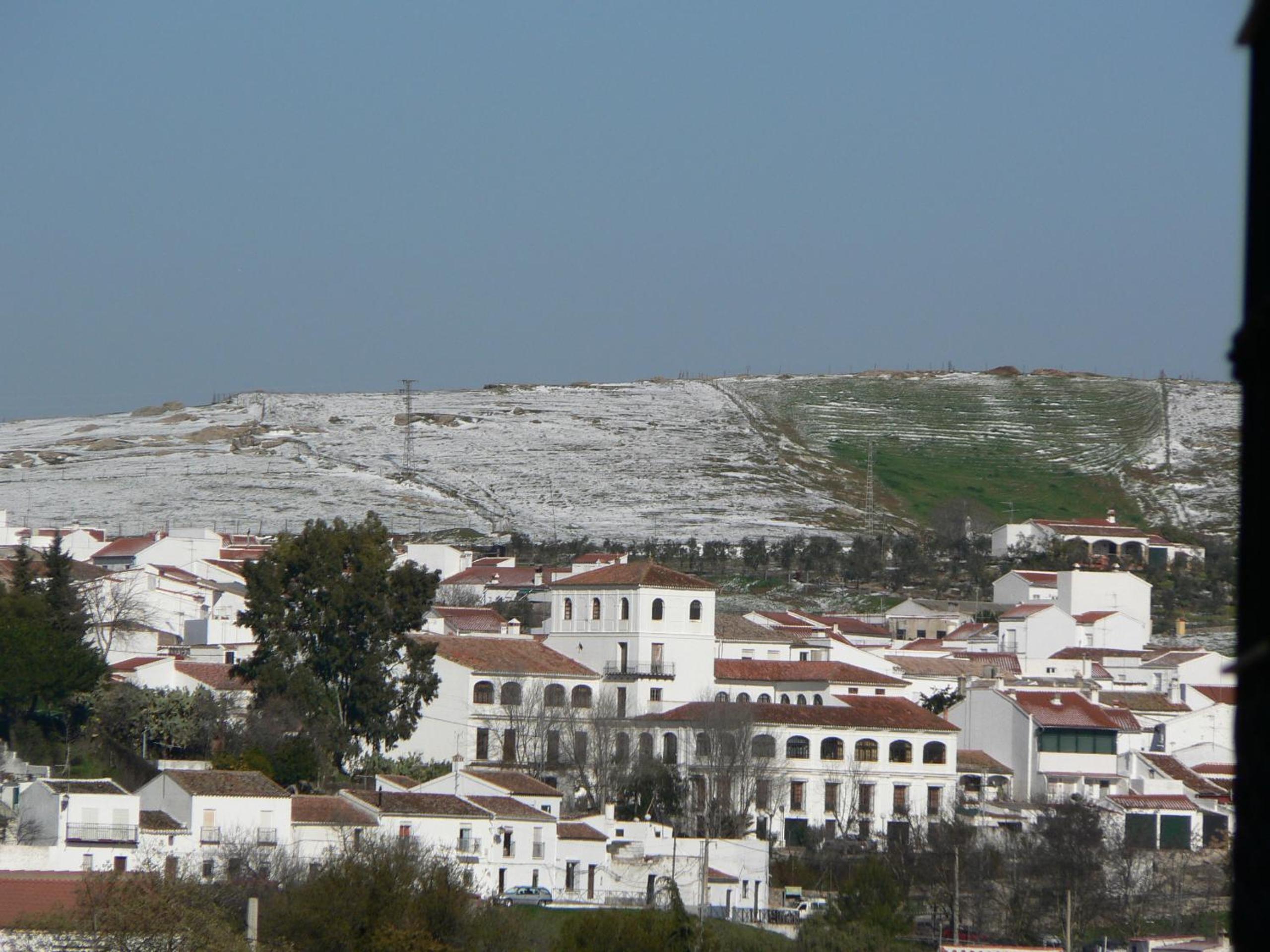 Photo 43