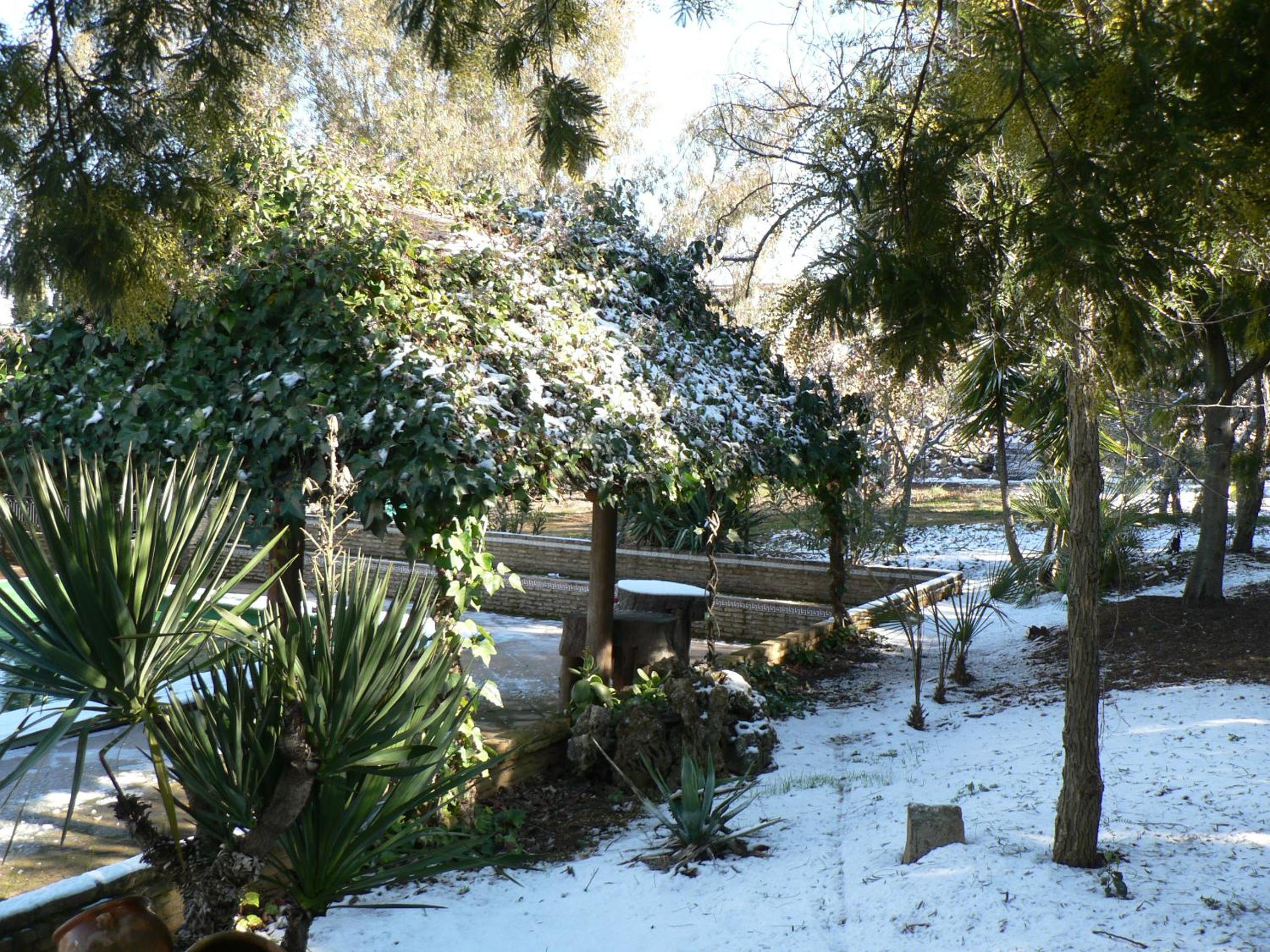 Photo 42