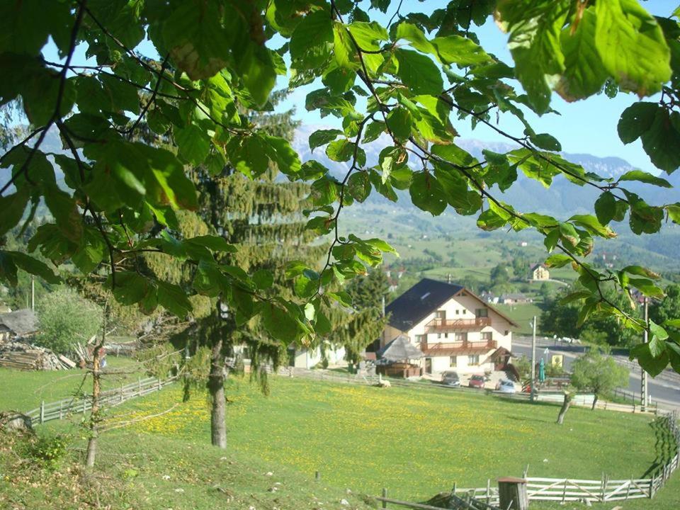 Pensiunea Edera