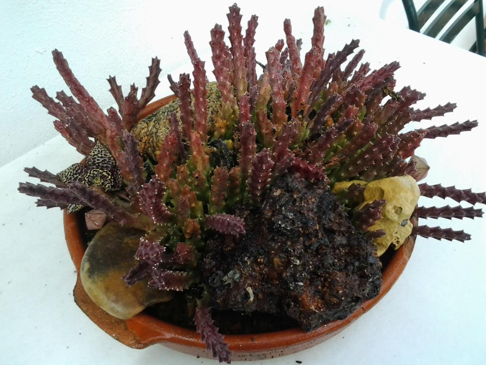 Photo 38