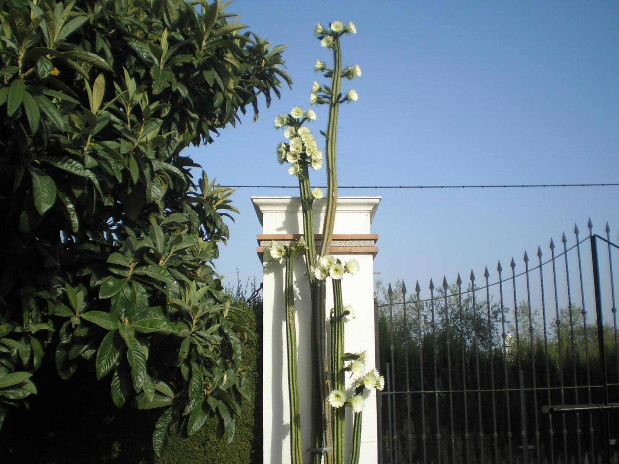 Photo 34