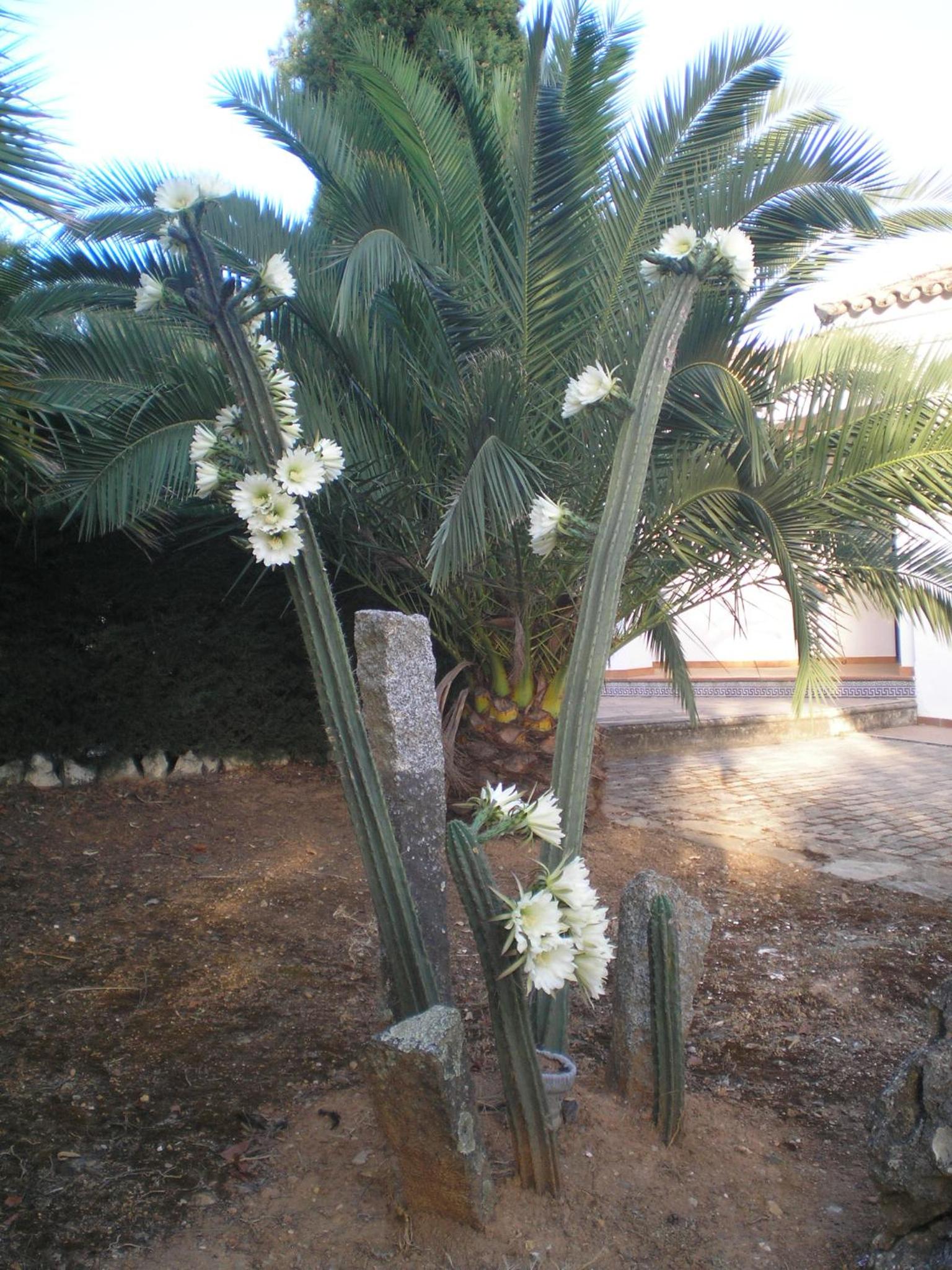Photo 33