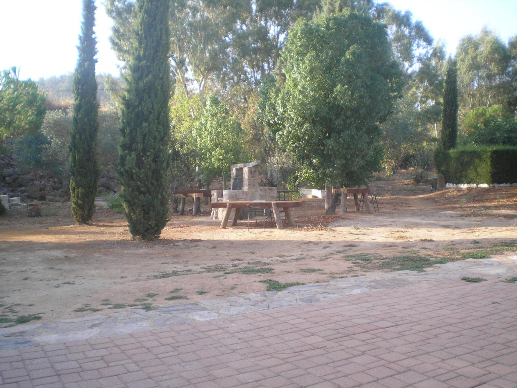 Photo 31
