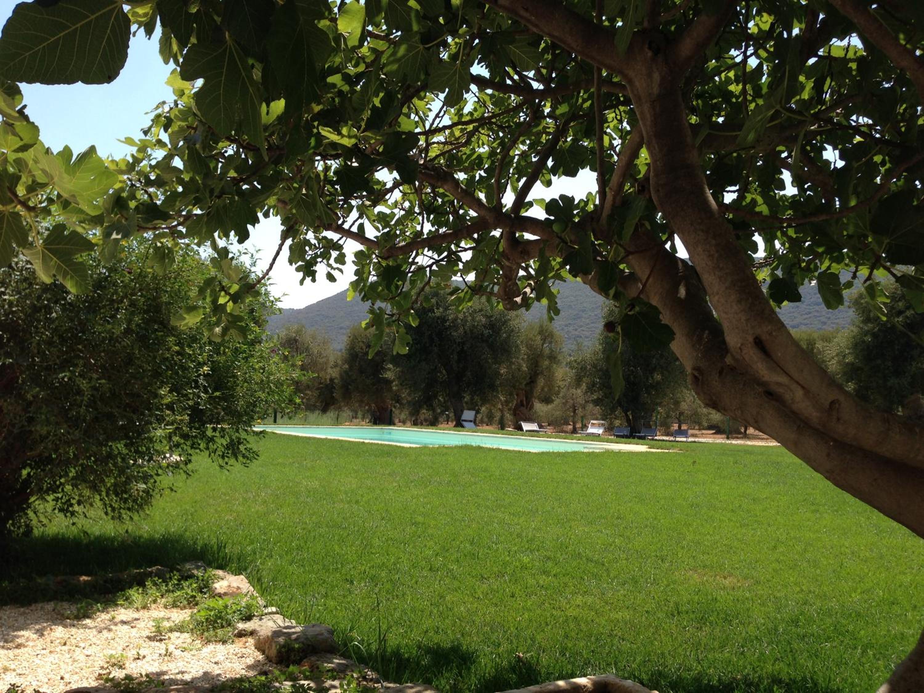 Photo 43