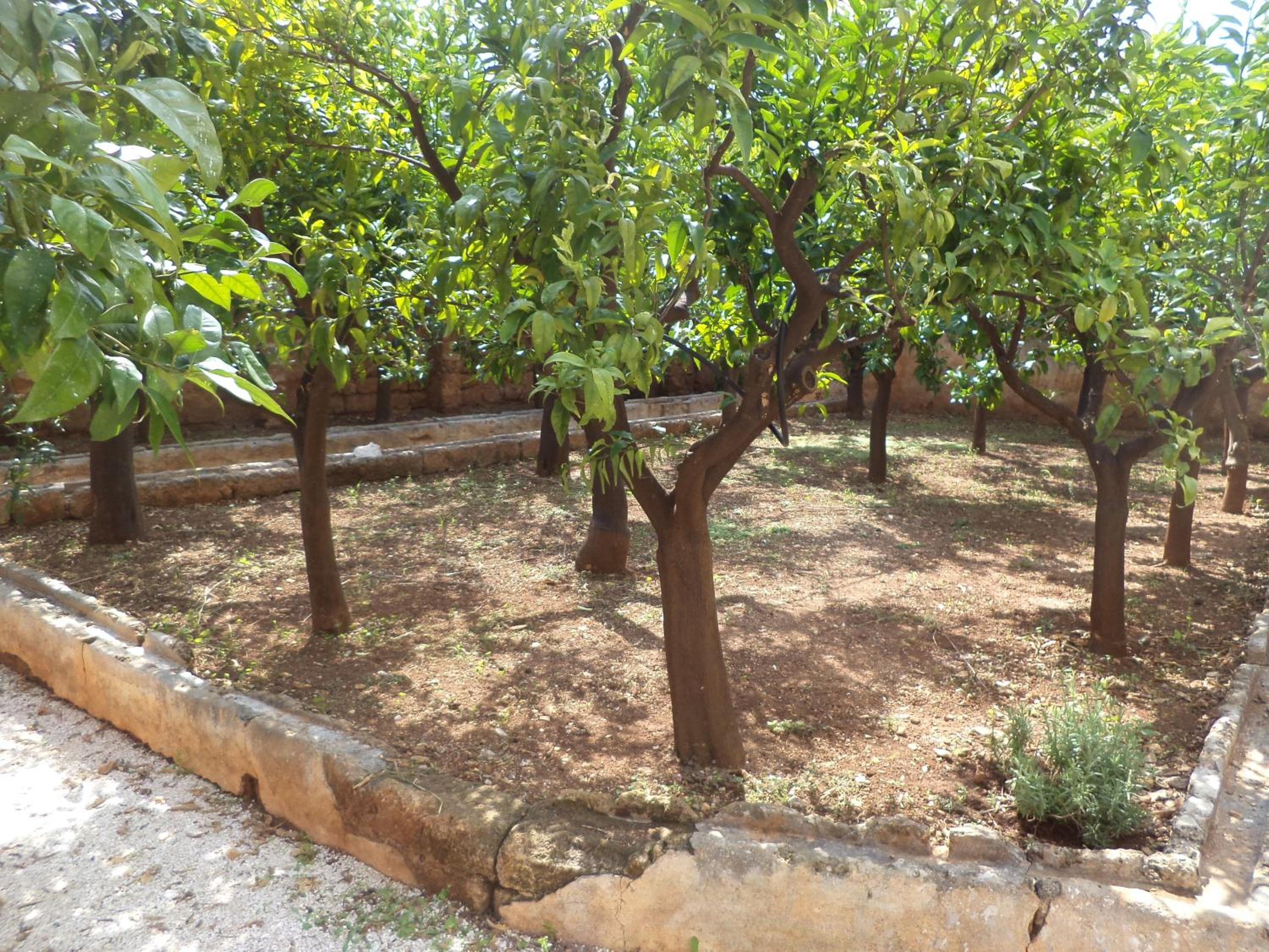 Photo 46