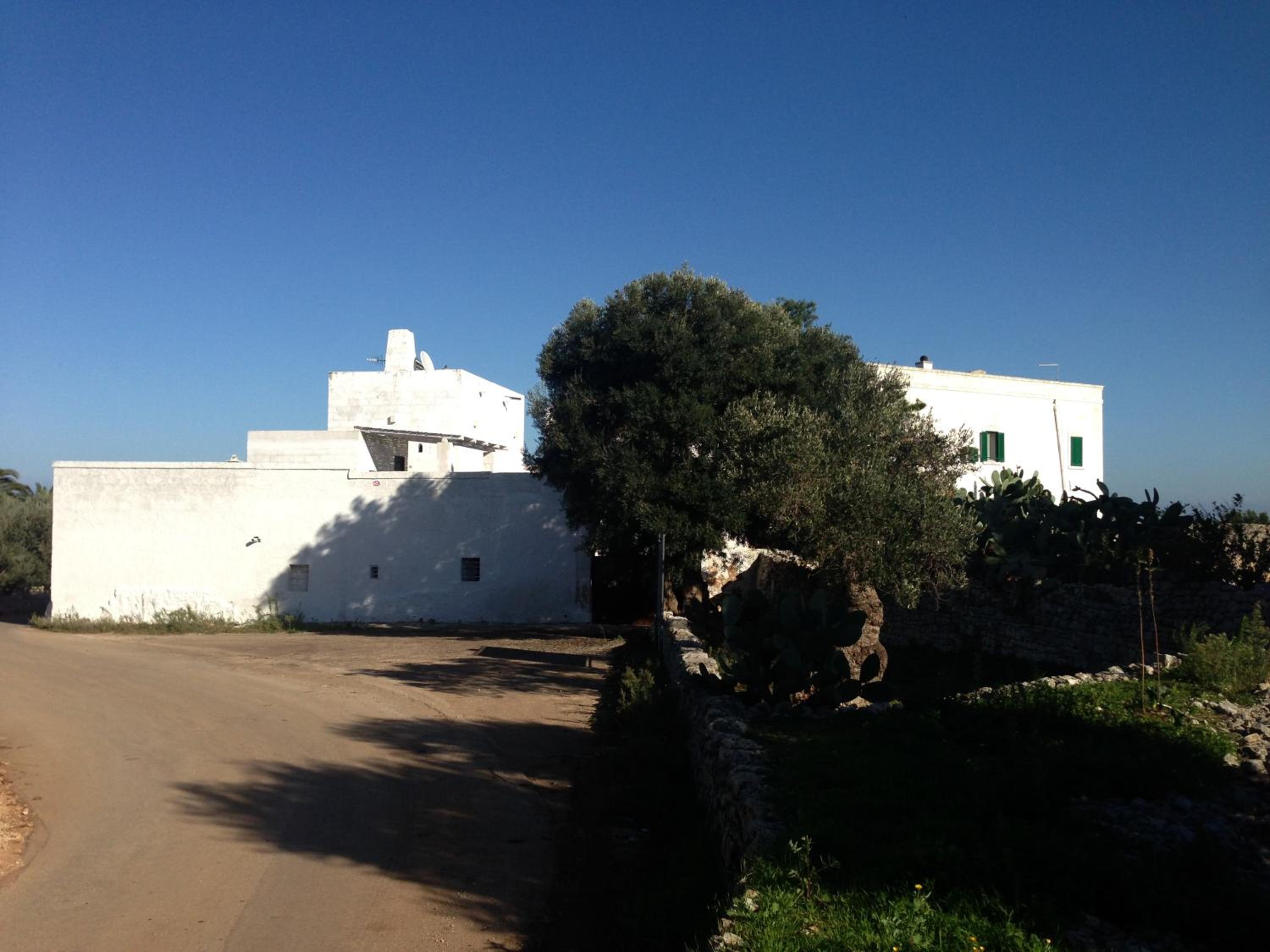 Photo 40