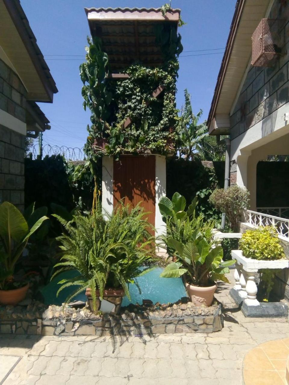 Photo 48