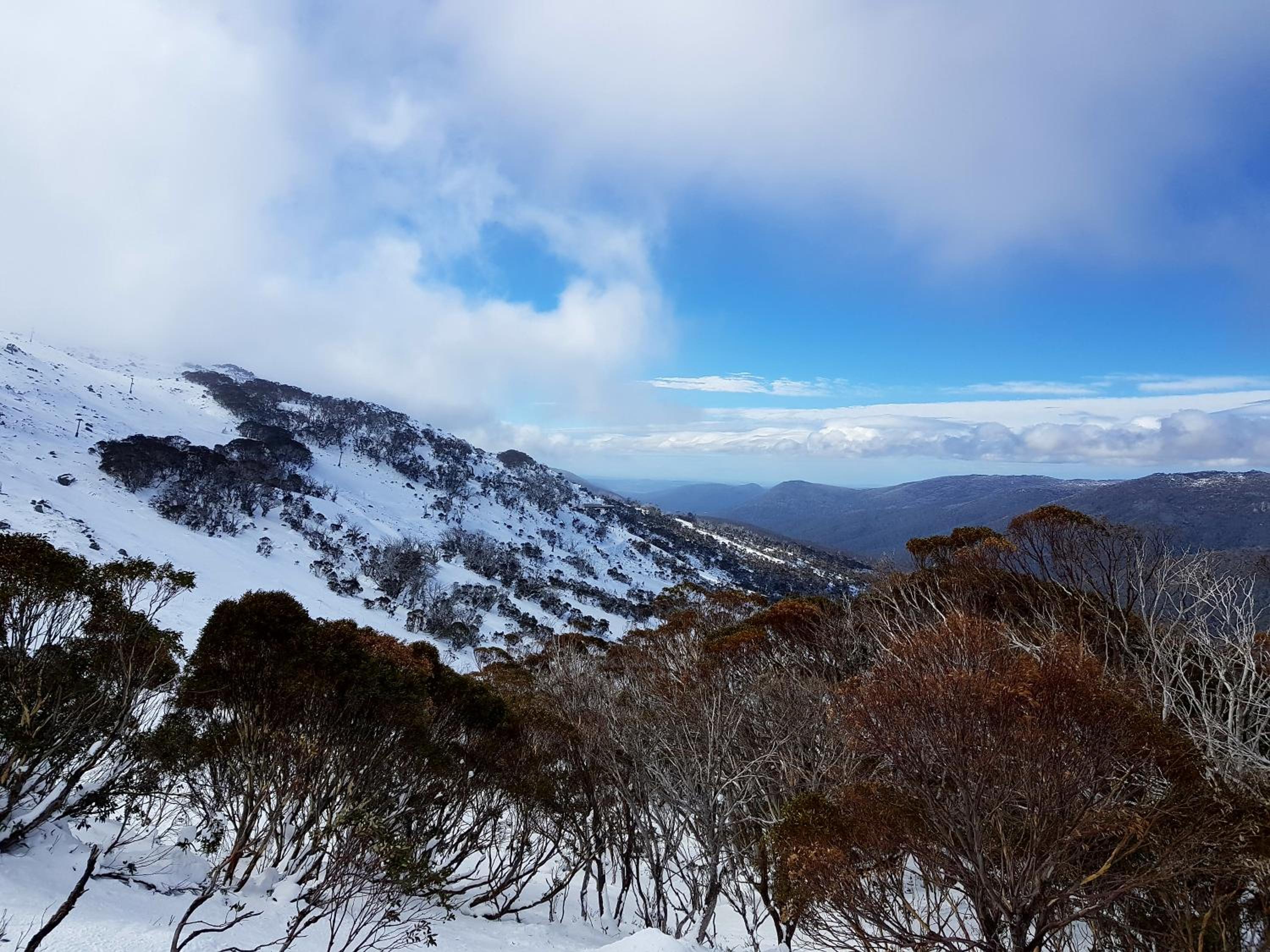 CHILL-OUT - Thredbo view 2