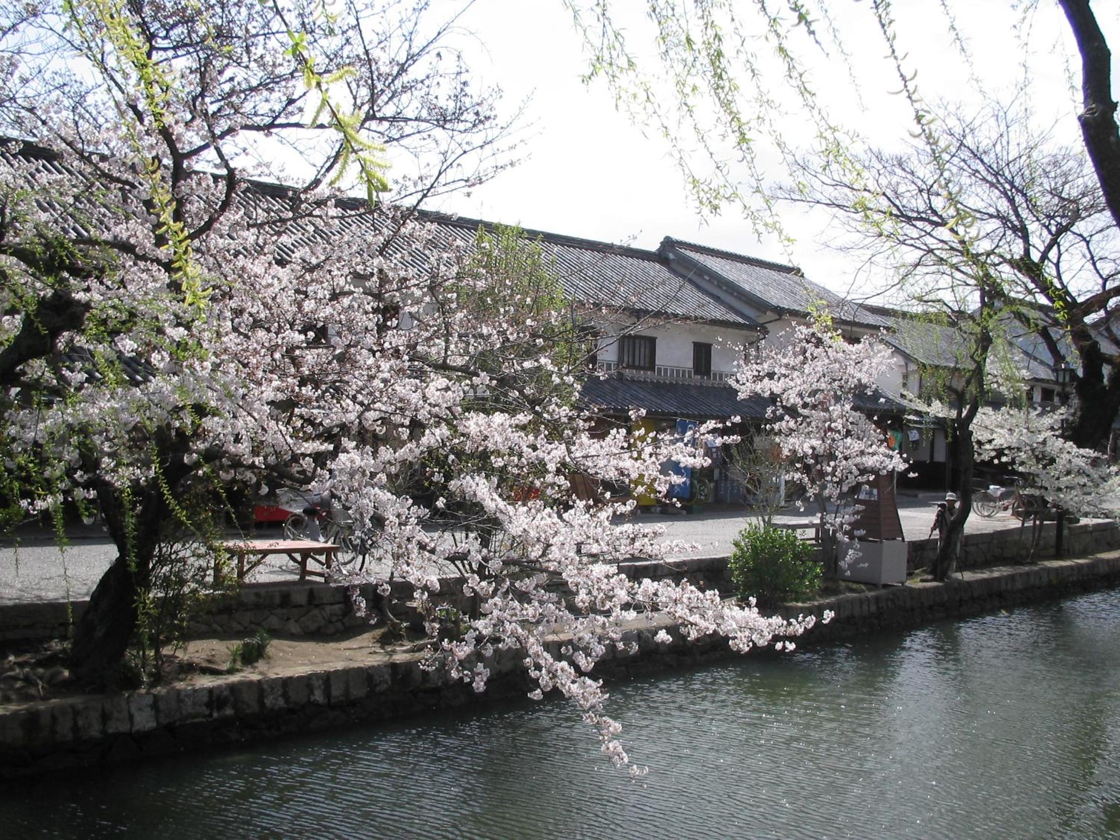 Ryori Ryokan Tsurugata