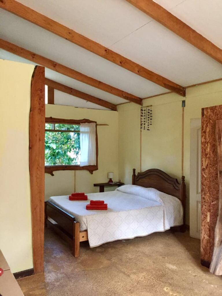 Cabañas Moenga