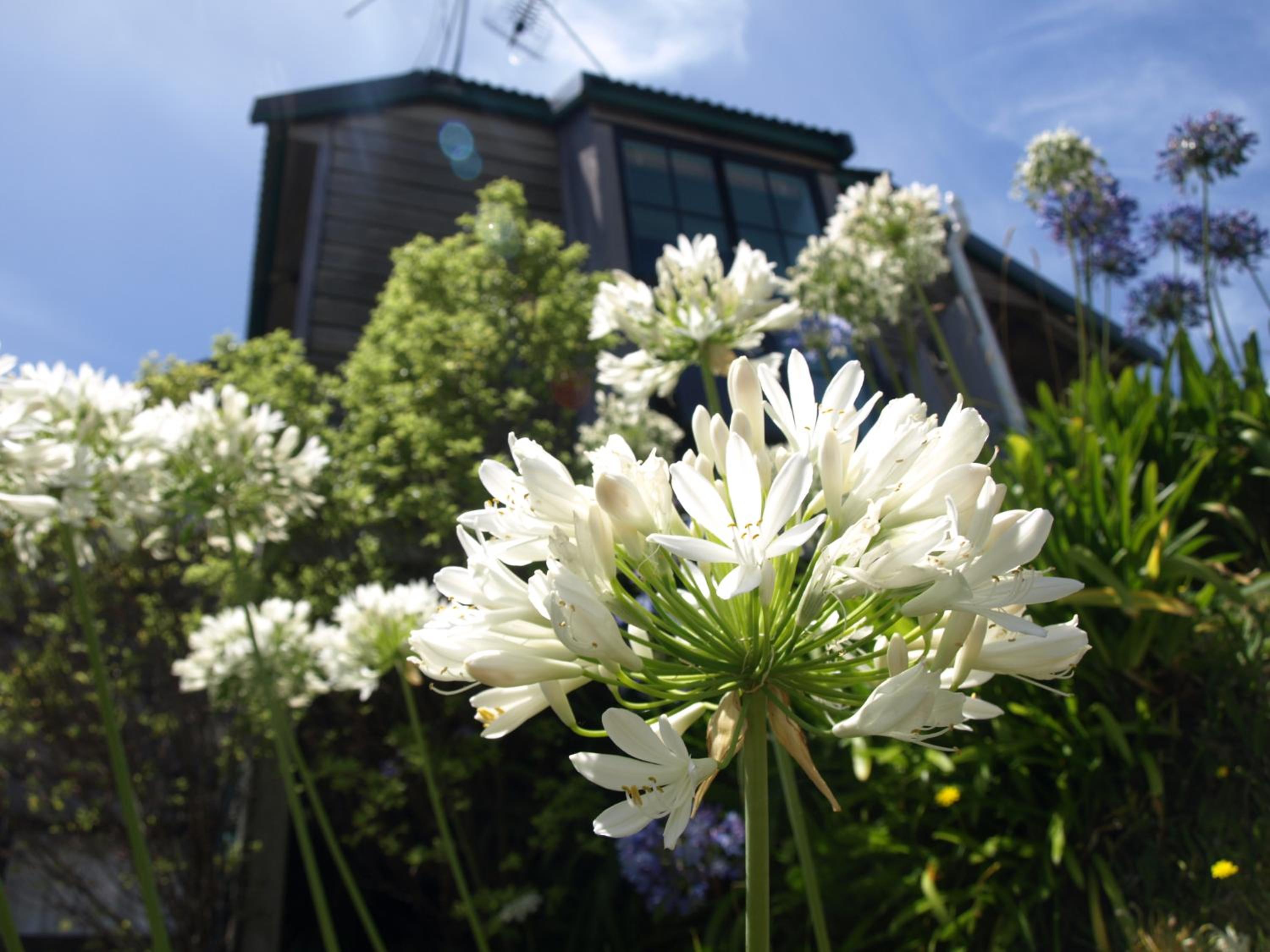 Grafton Cottage & Chalets