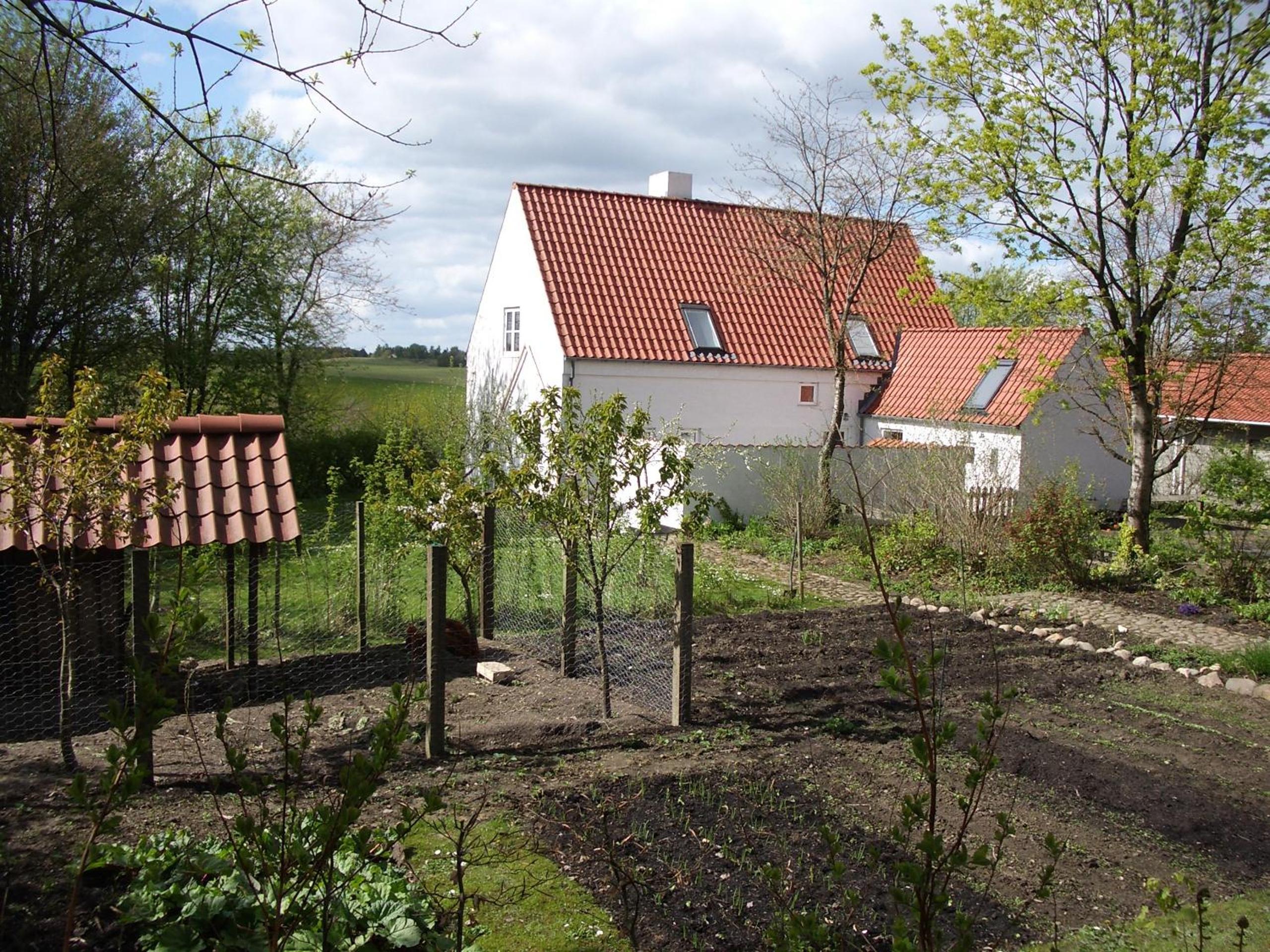 Photo 20