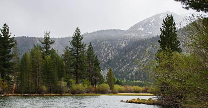June Lake Motel