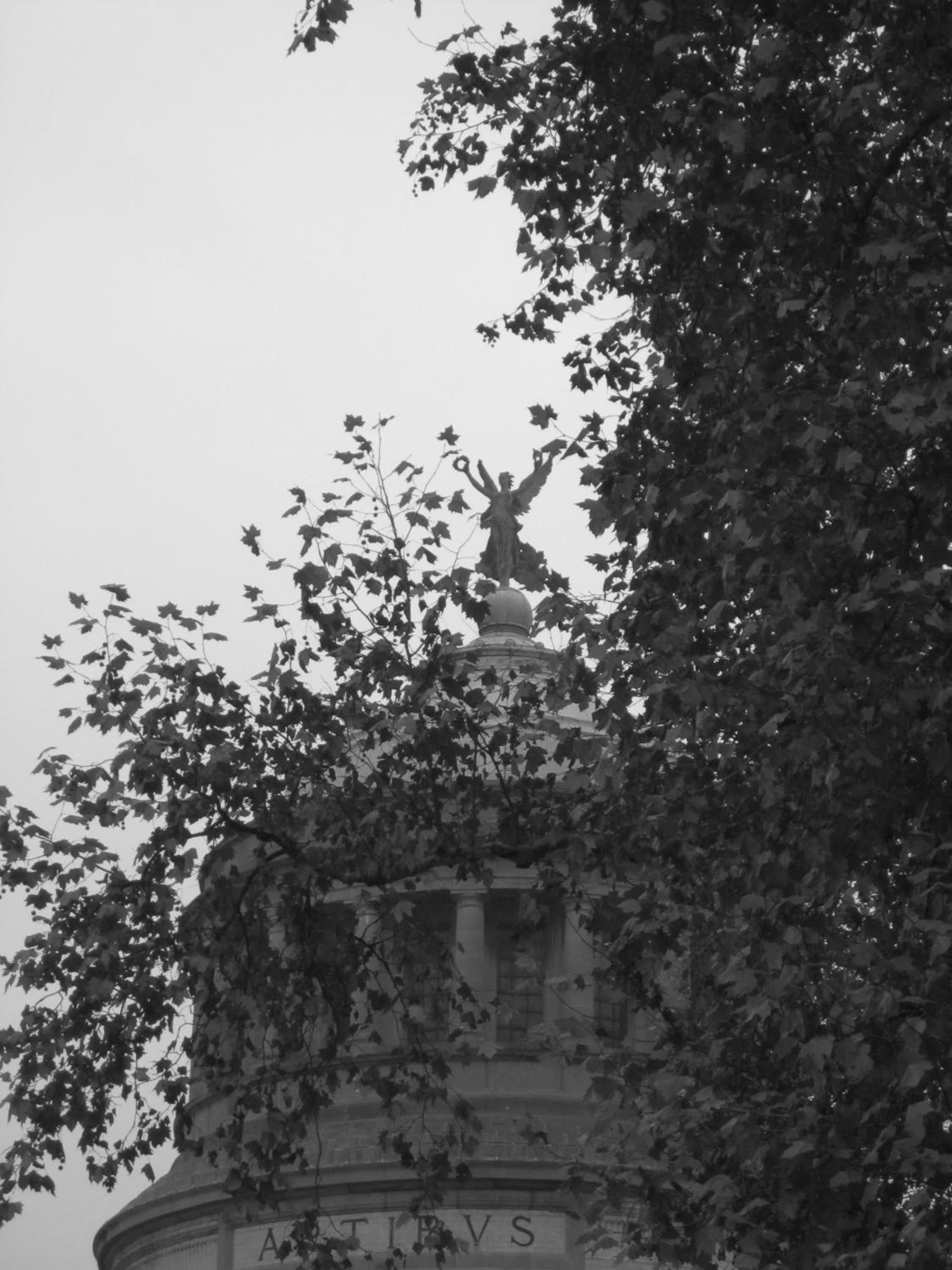B&B A Côté du Cinquantenaire
