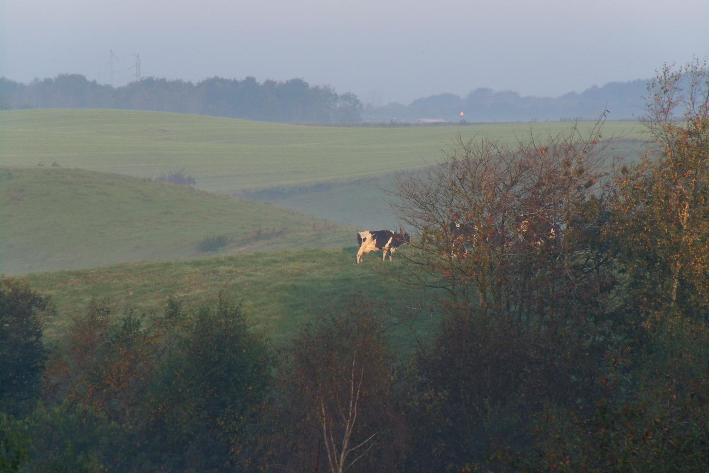 Natursti Silkeborg Bed & Breakfast view 3