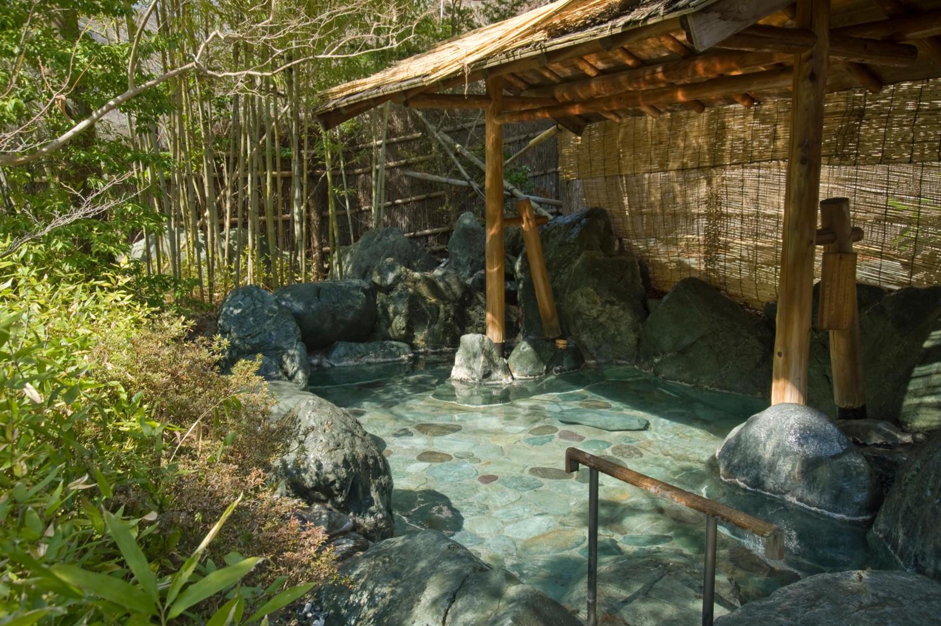 Nishiyama Onsen Keiunkan, Hayakawa, Japon - 18