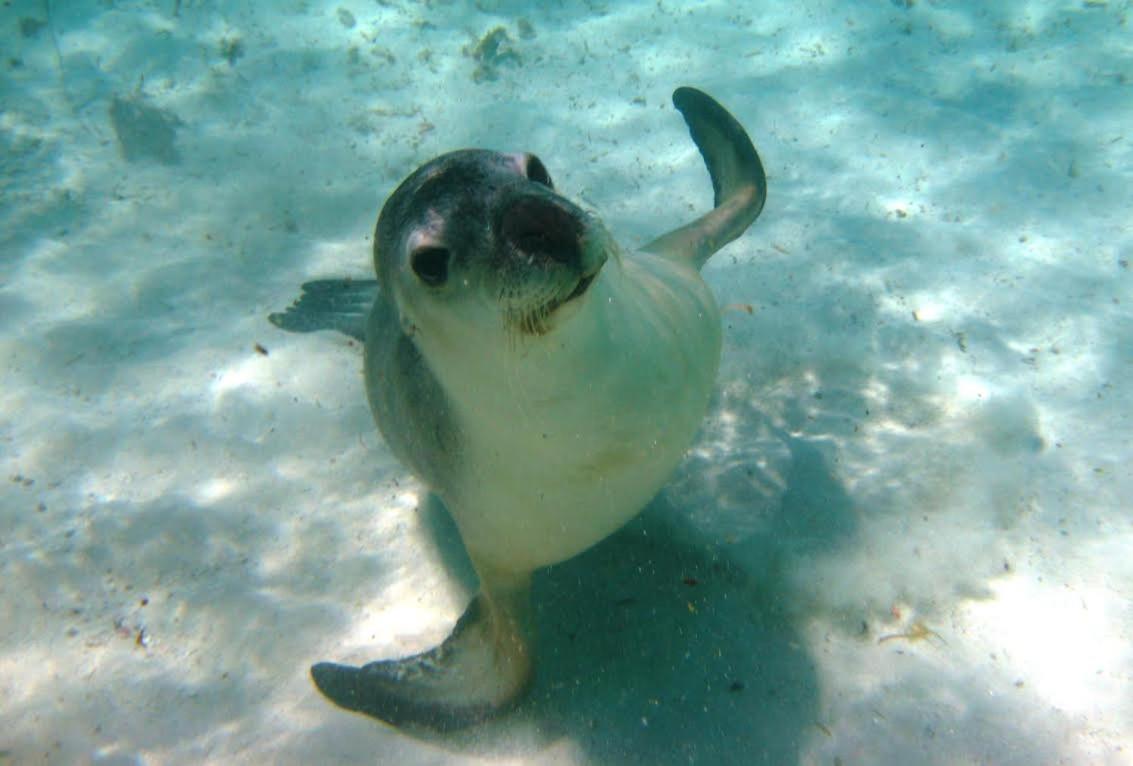 Photo 20