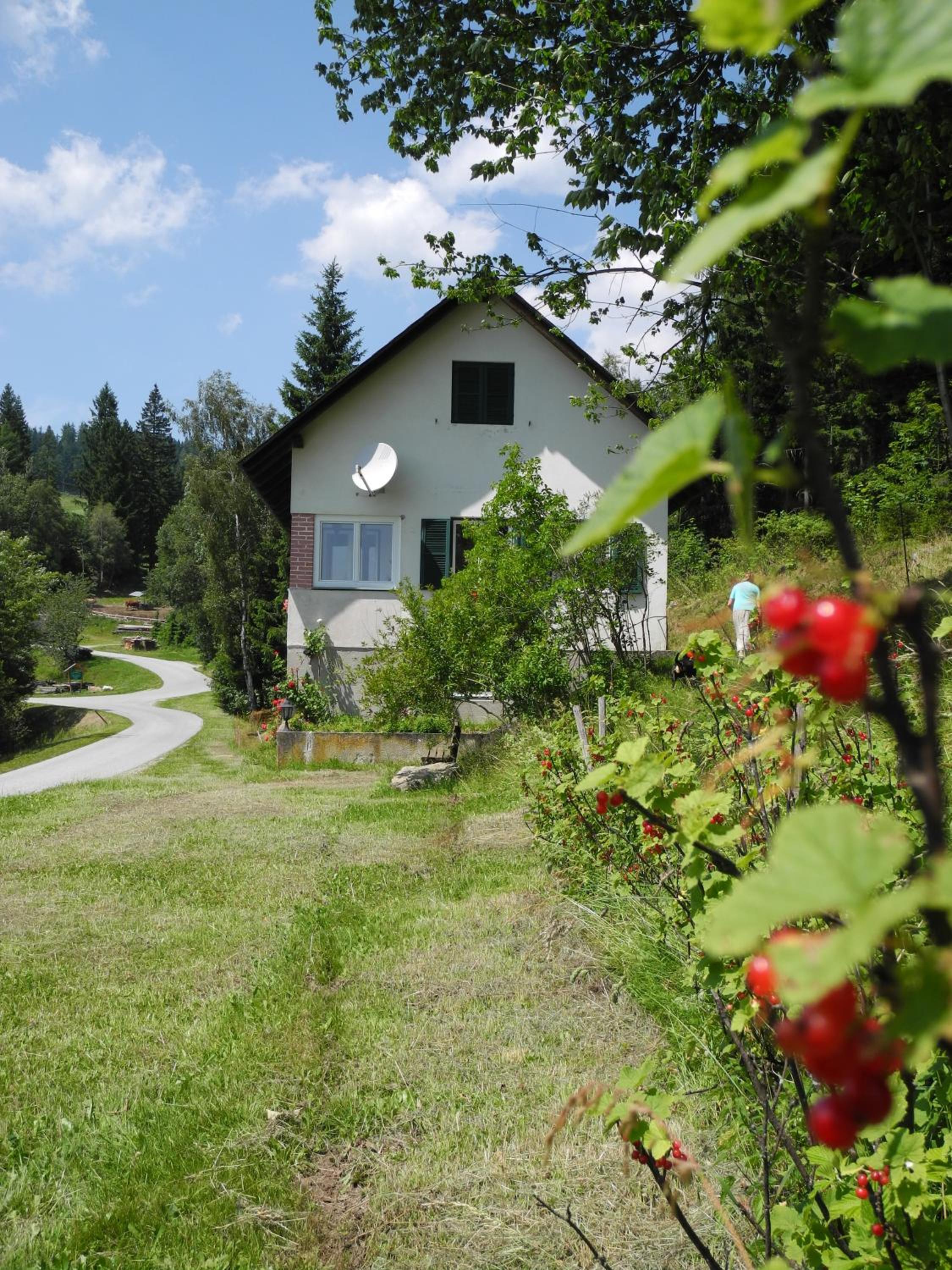 Urlaub am Bauernhof Grabenhofer