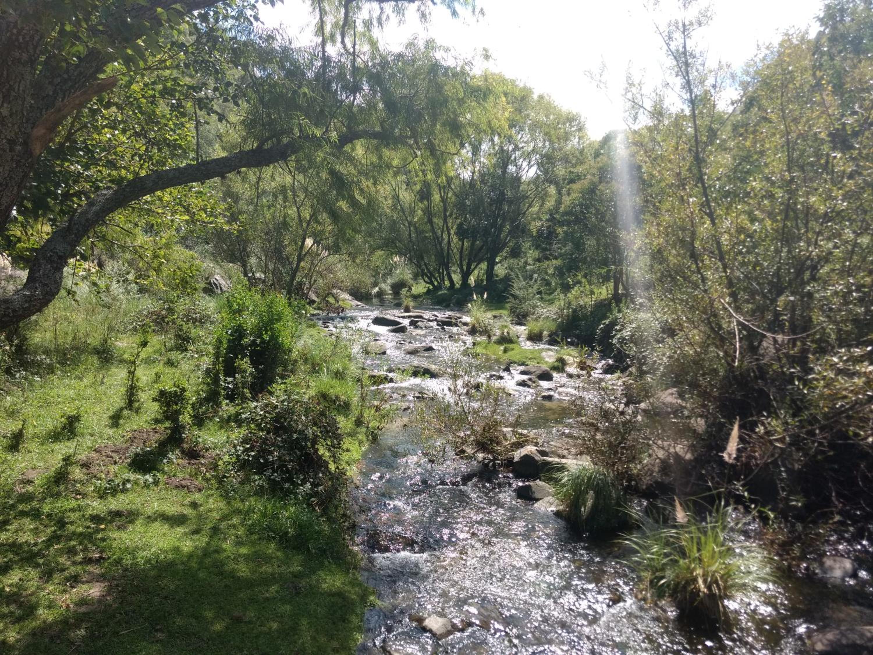 Libertad