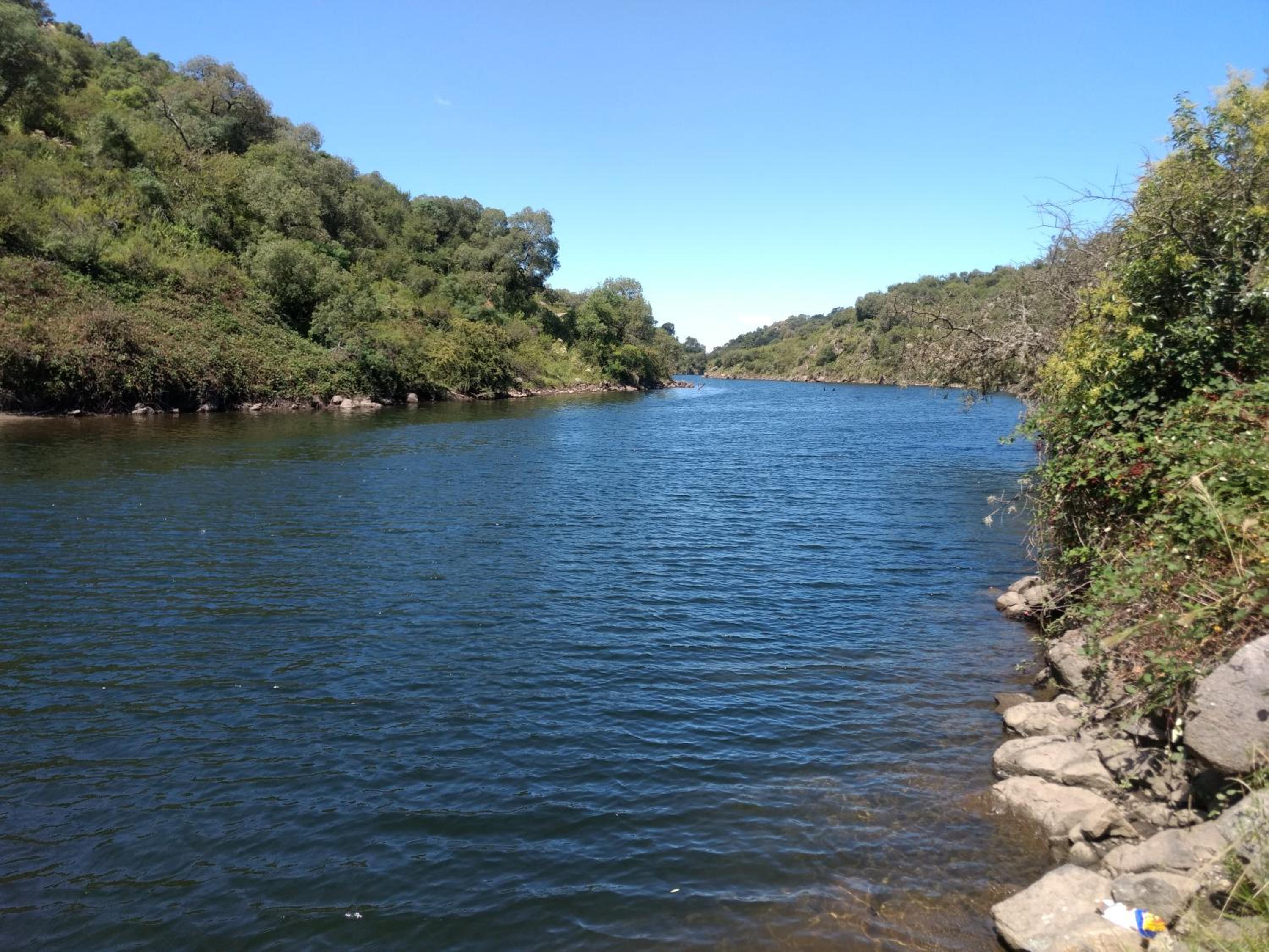 Libertad
