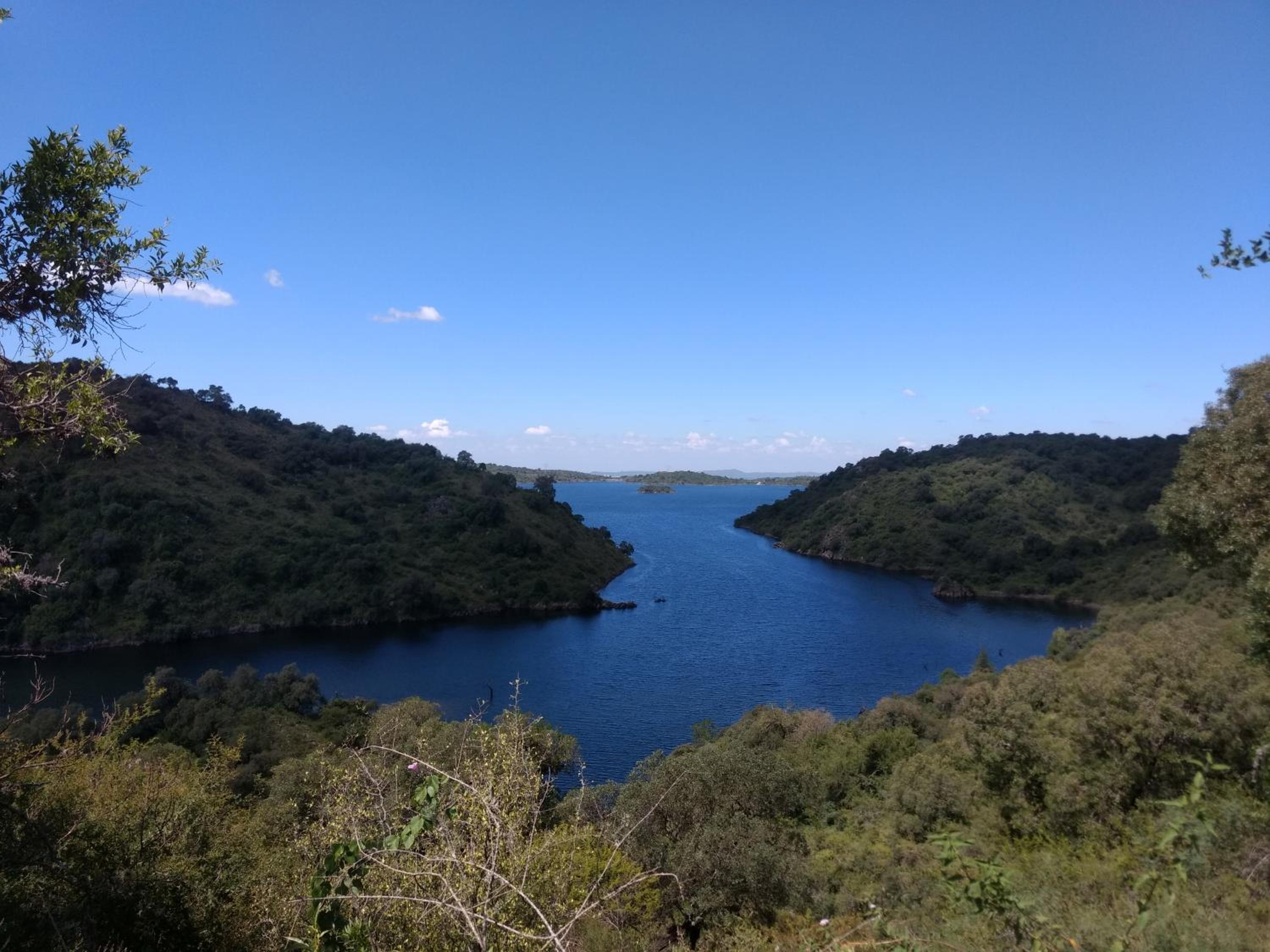 Libertad