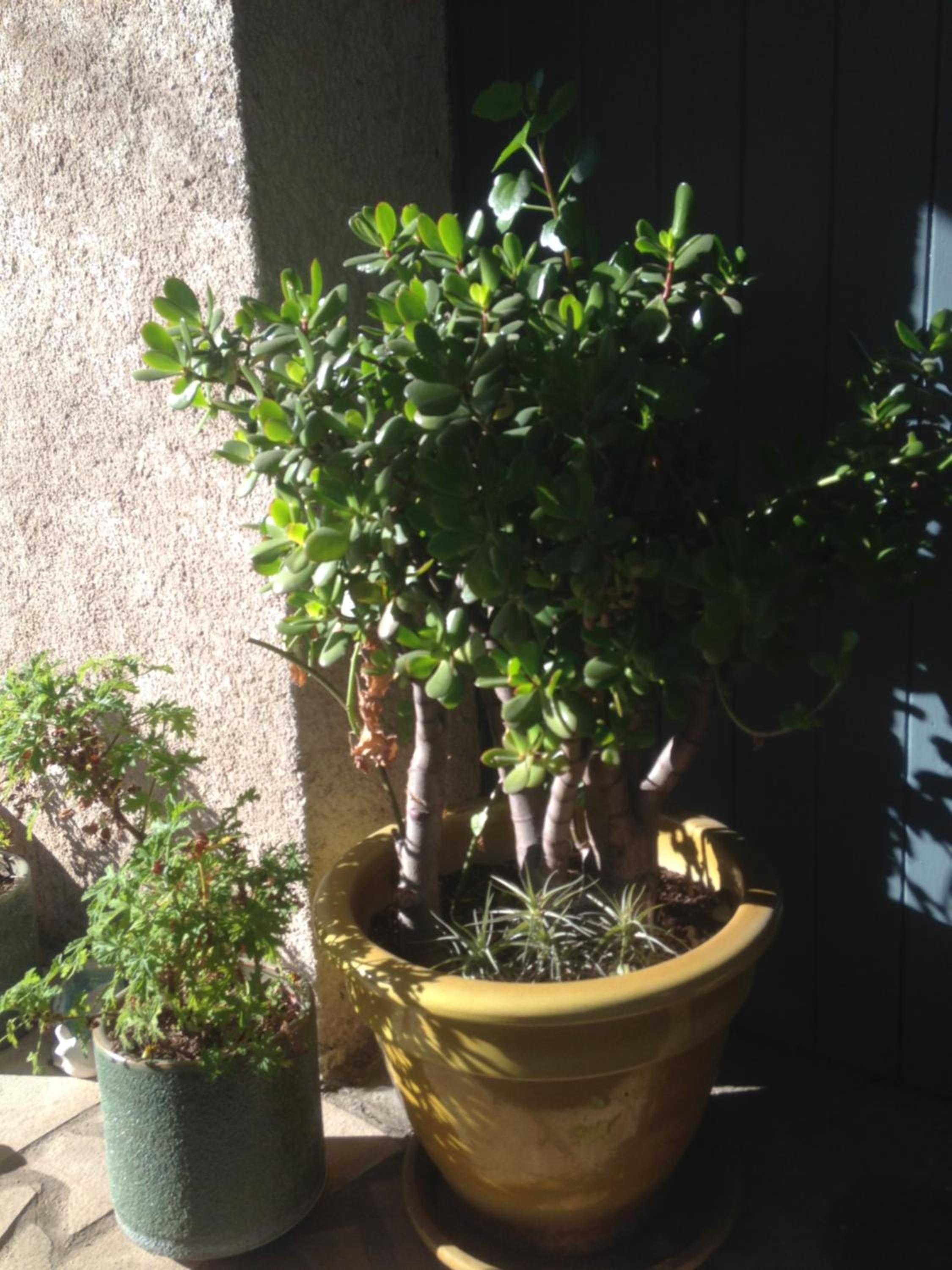 2 appartements calmes, photo 34