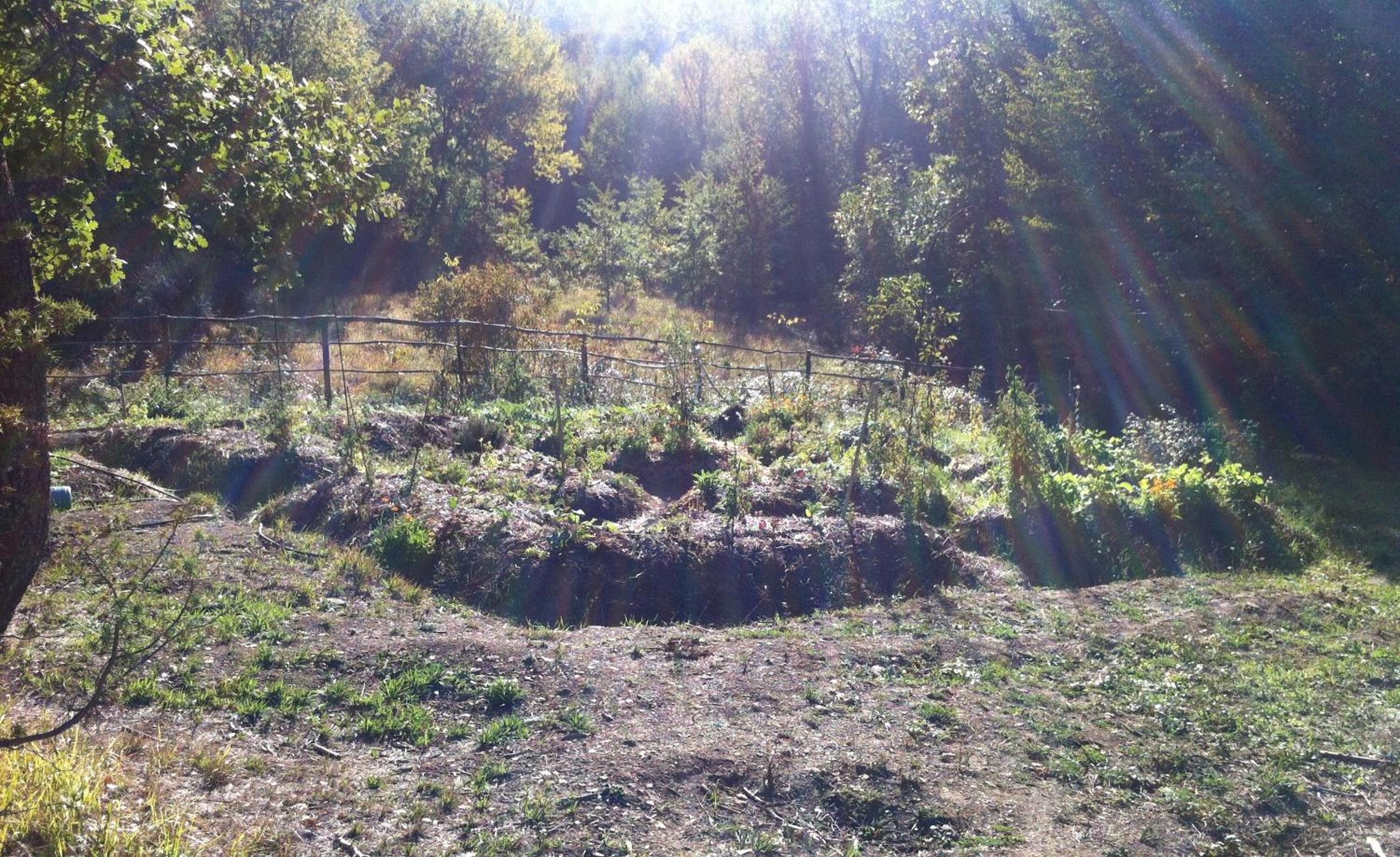 Le Case Della Buca Agriturismo ed Agricampeggio