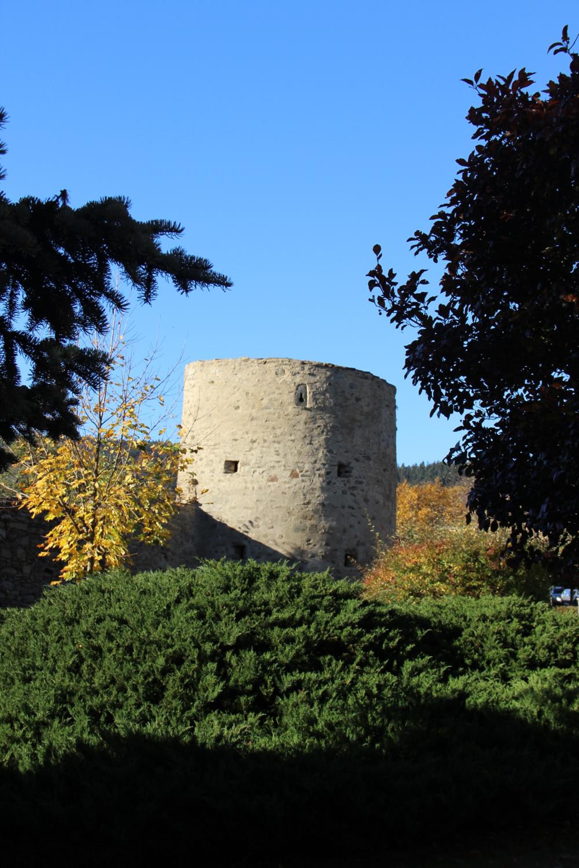 Photo 17