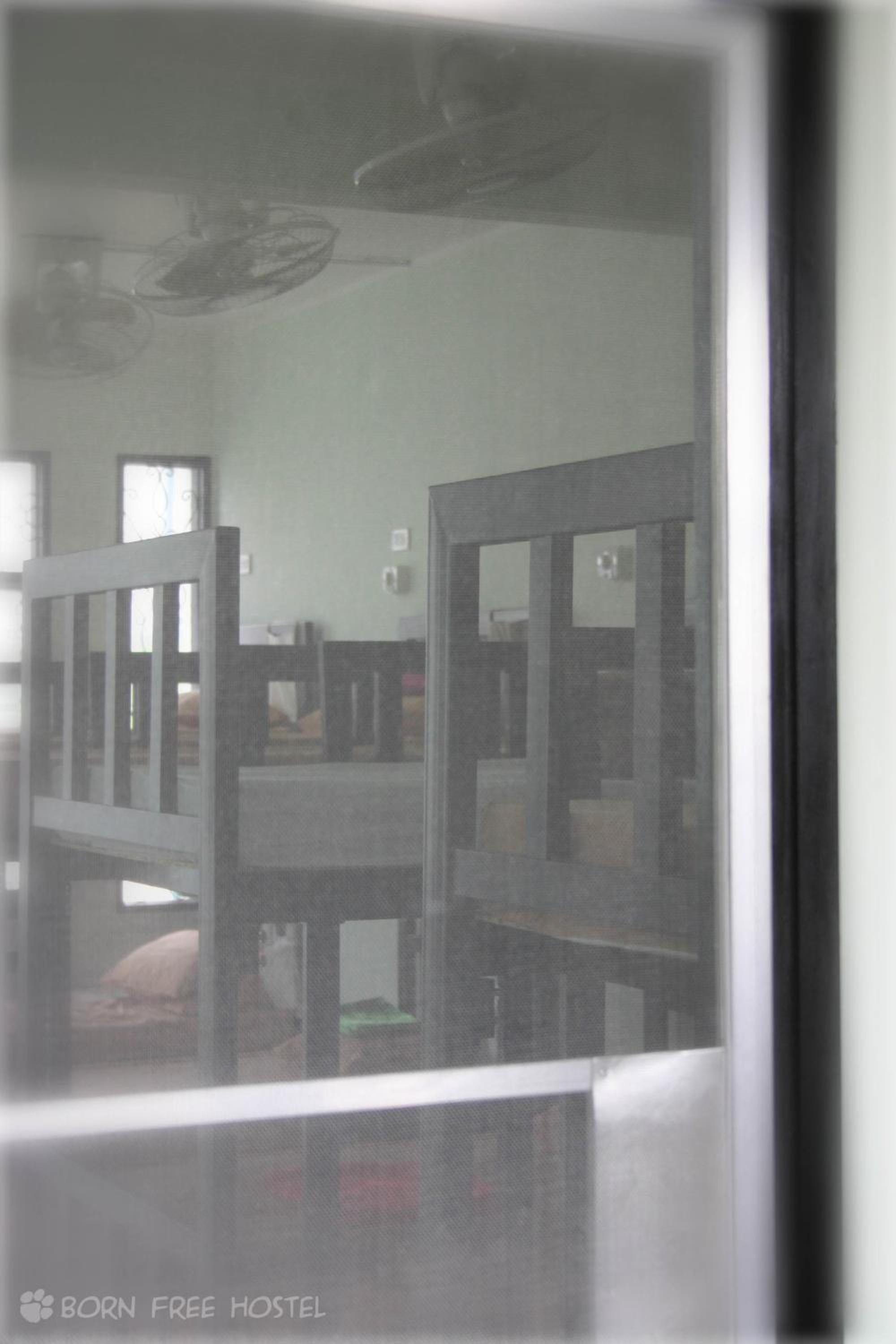 Born Free Hostel