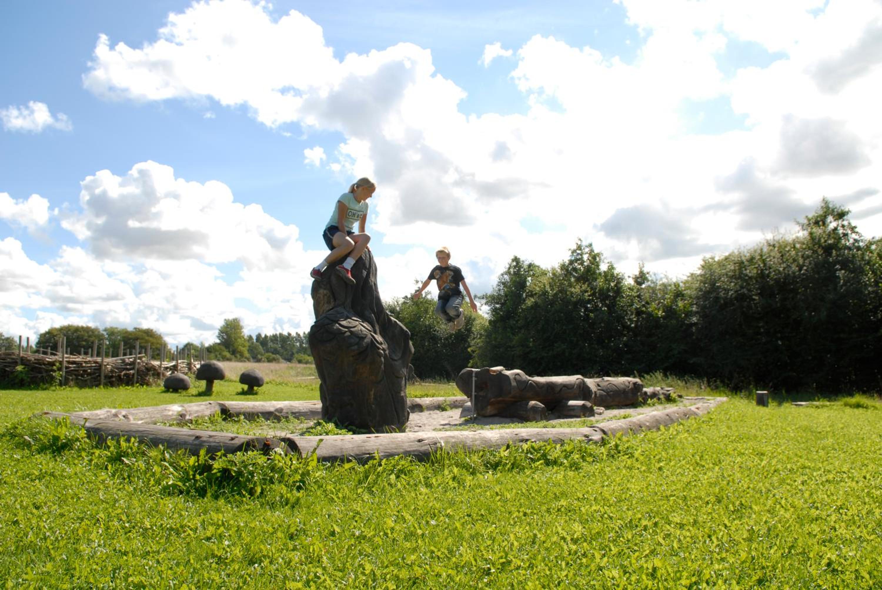 Photo 16