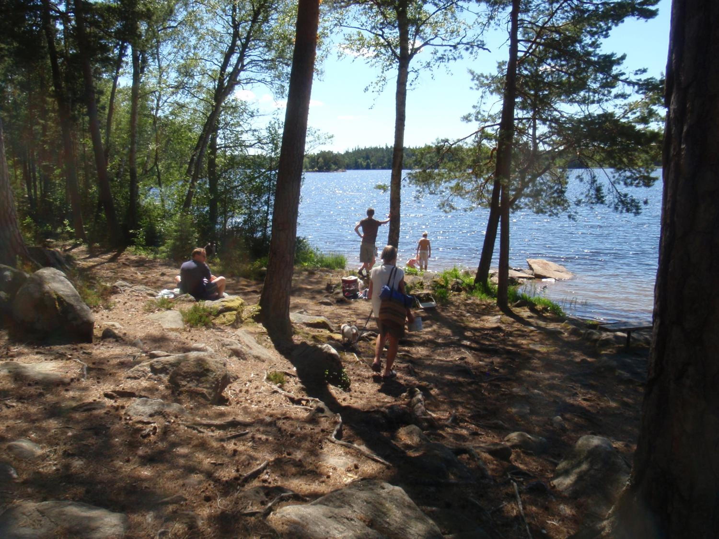 Photo 16