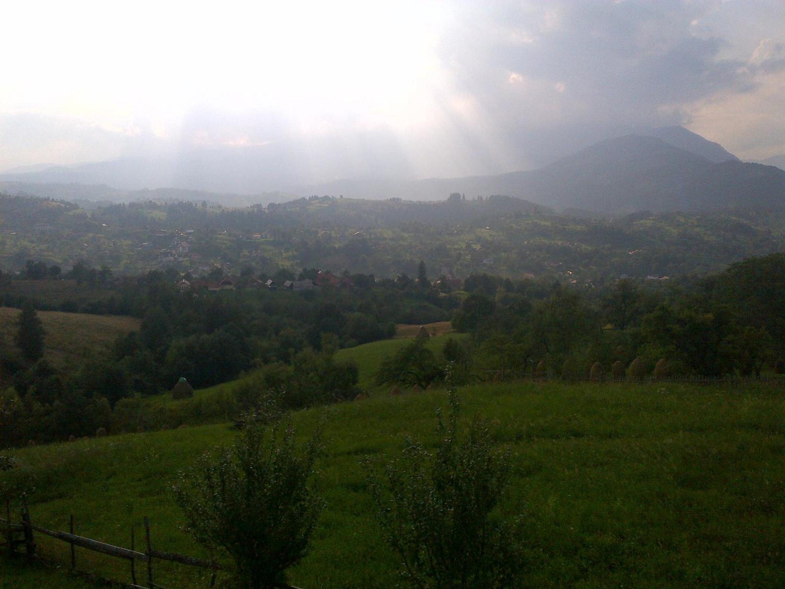 Photo 28