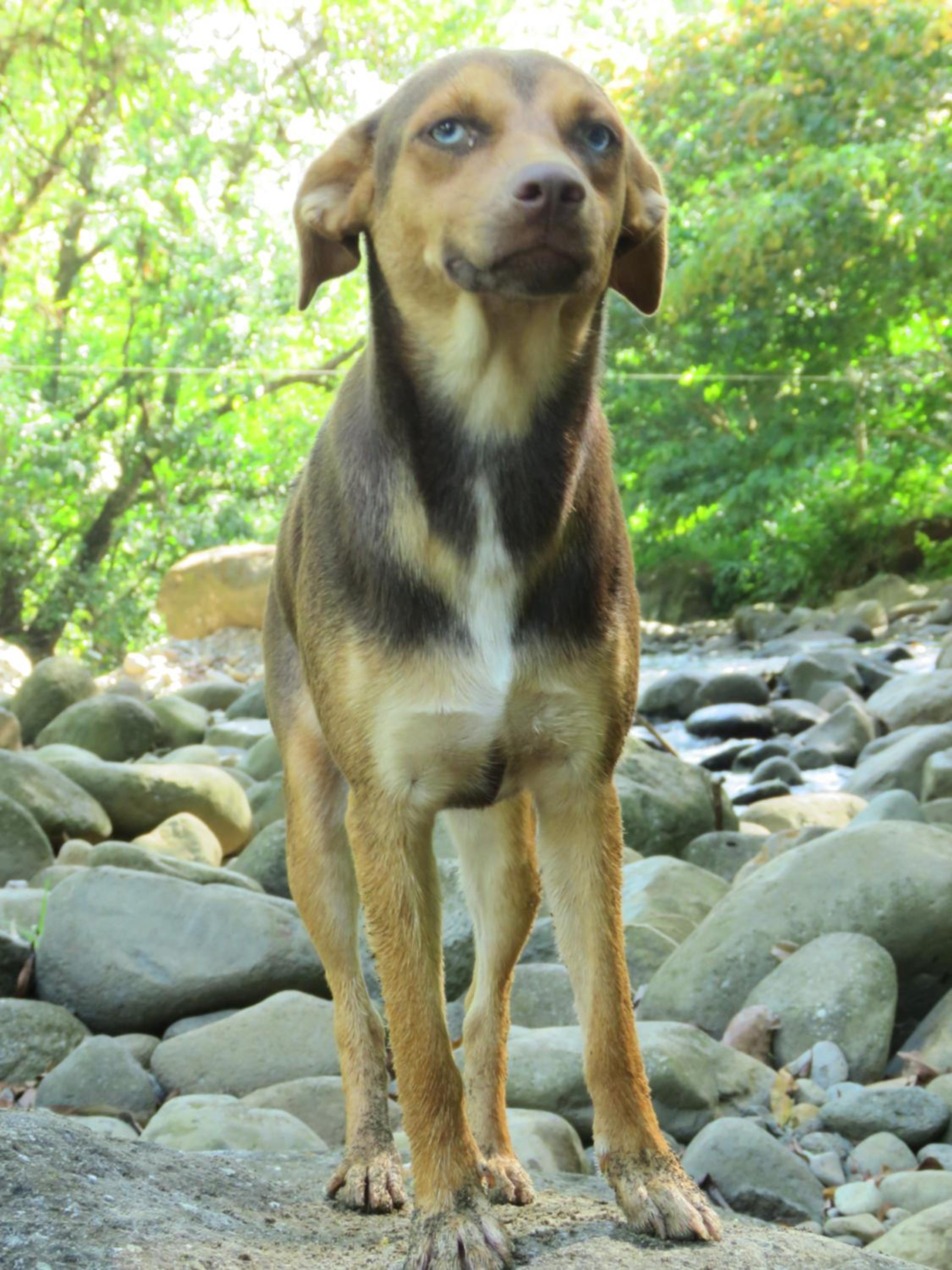 Vocaré Finca Agroecológica