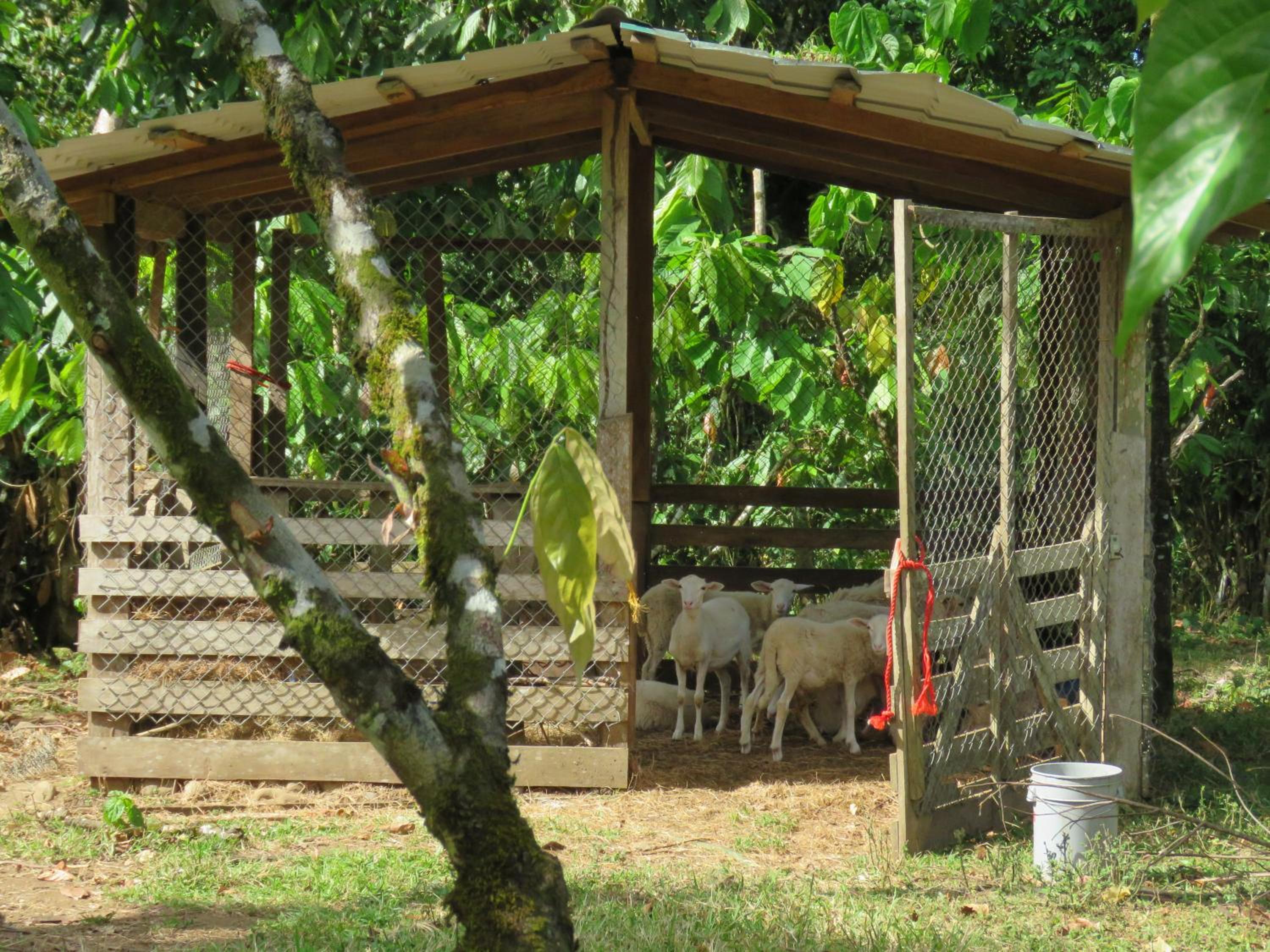 Vocaré Finca Agroecológica