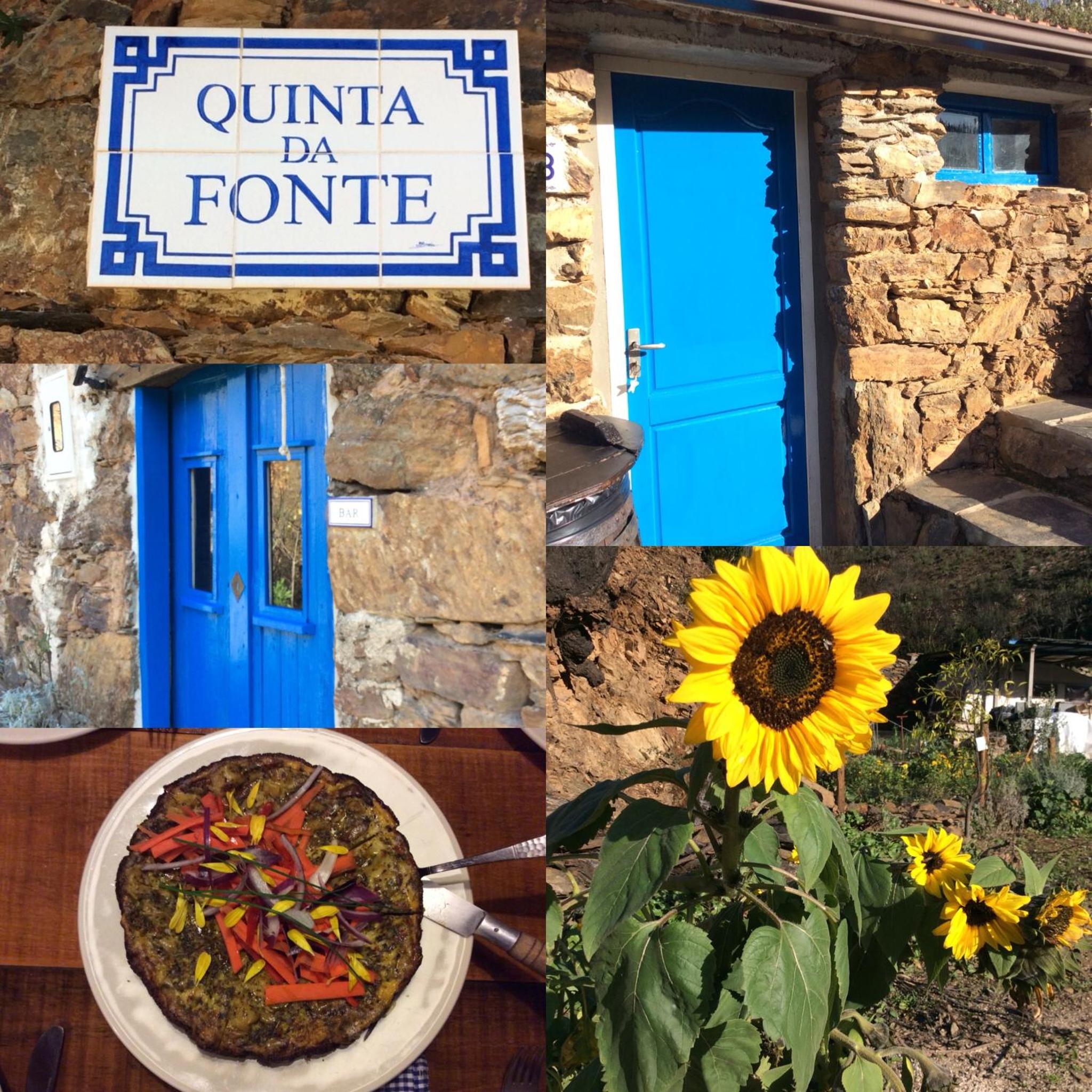 Guest Room Agro-turismo Quinta da Fonte Bed&Breakfast