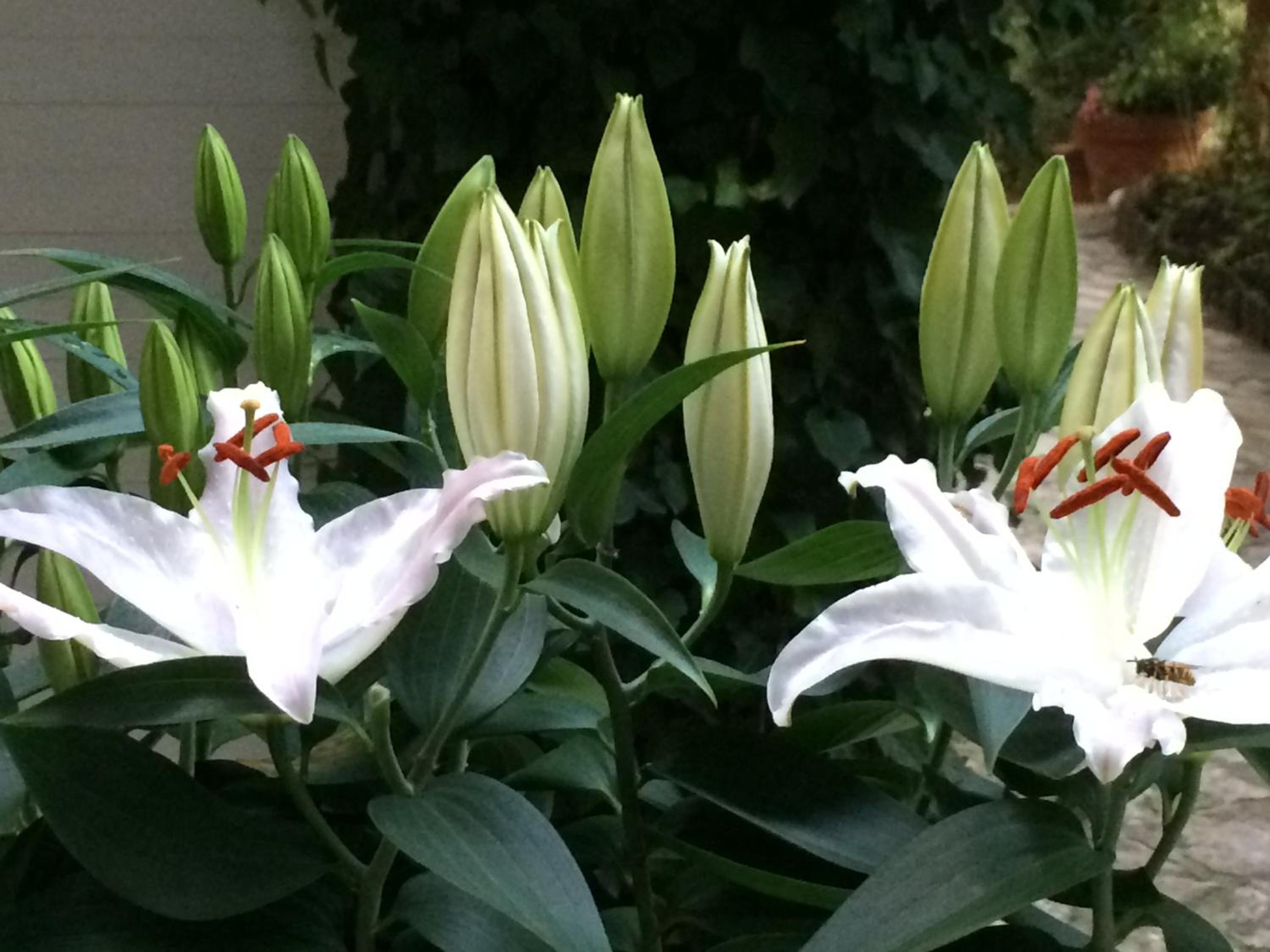 Photo 123