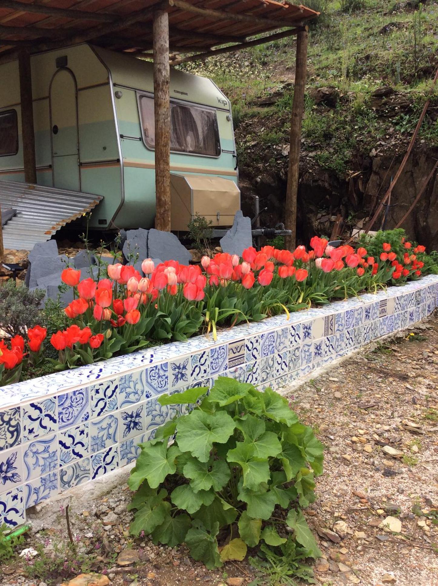 Guest Room Agro-turismo Quinta da Fonte Bed&Breakfast