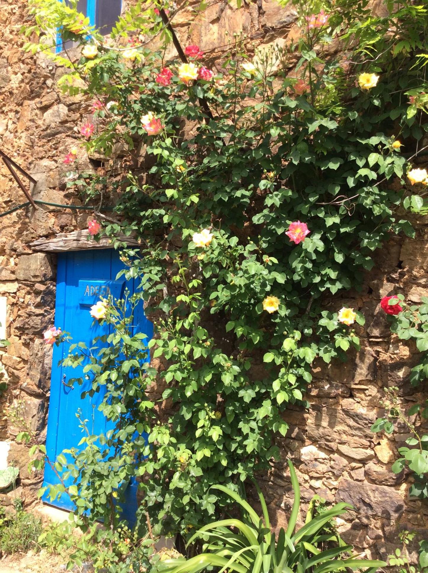 Guest Room Agro-turismo Quinta da Fonte Bed&Breakfast