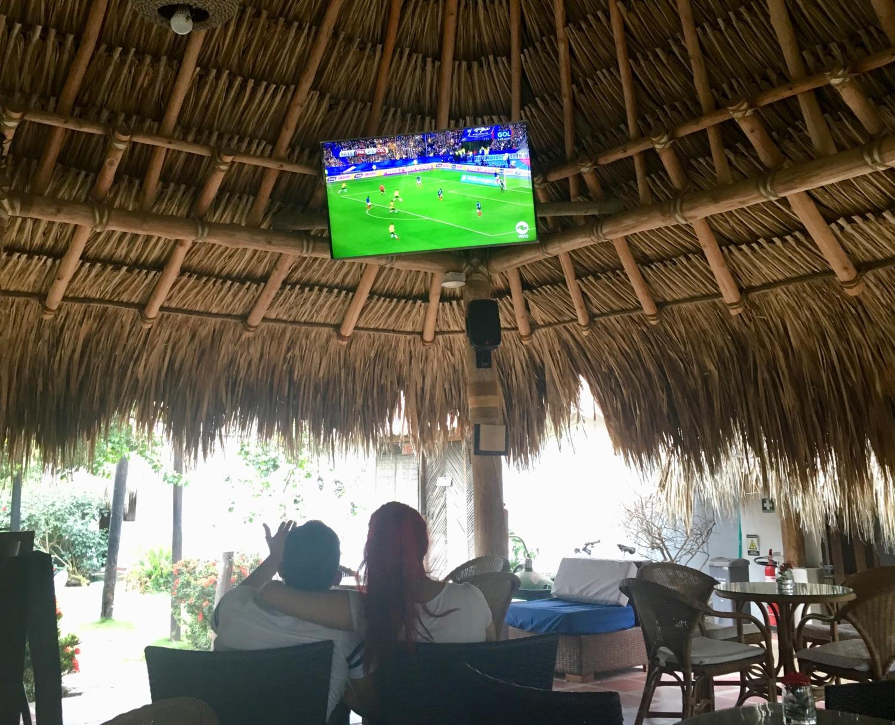 Palomino Breeze Hostal