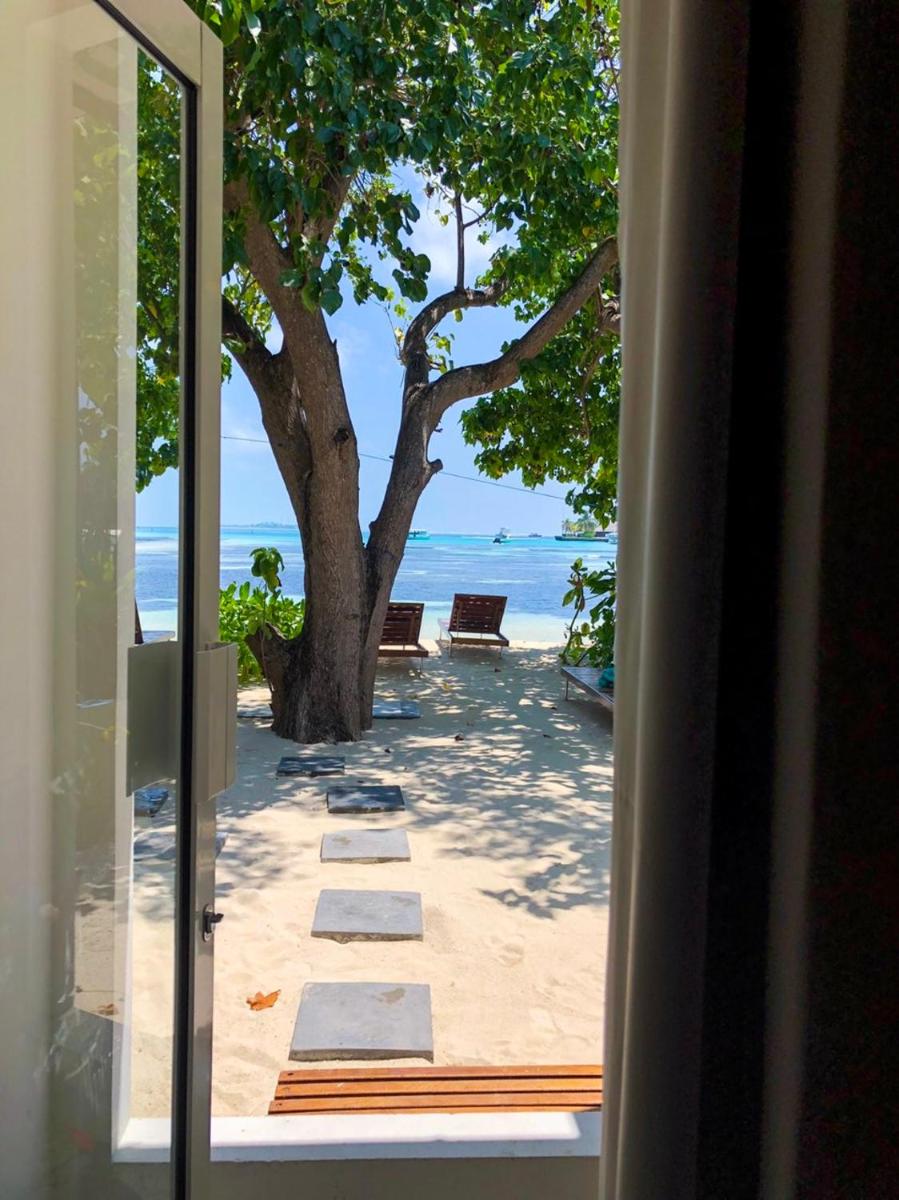 Seginy Seaview photo 2