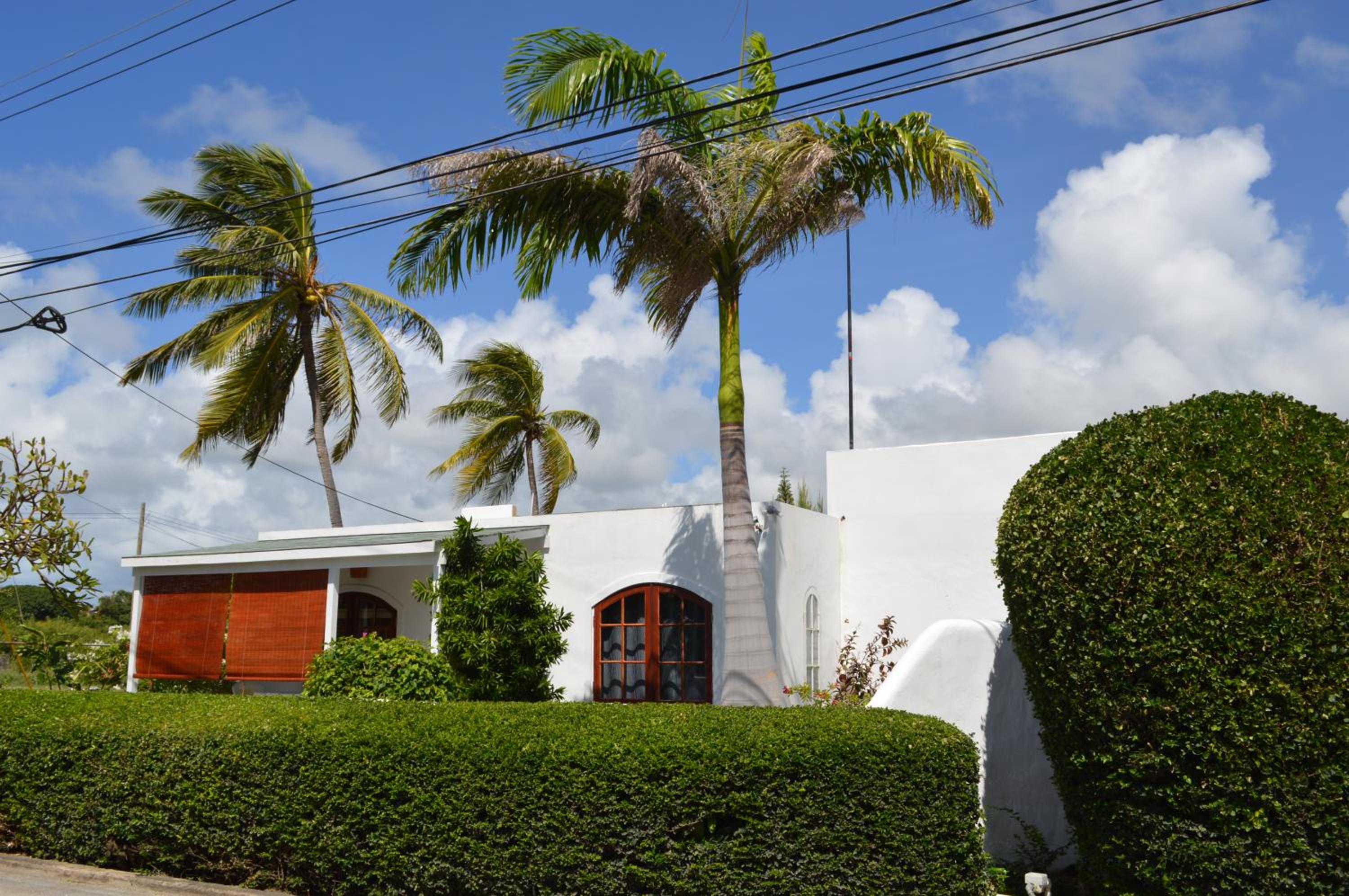 Photo 45
