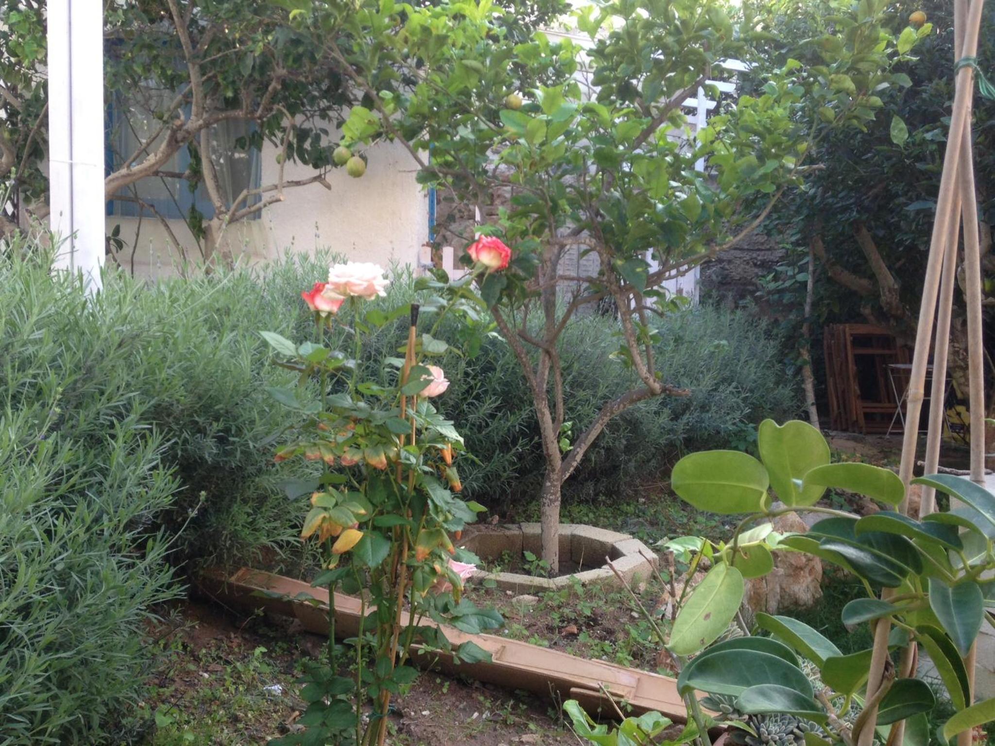 Photo 8