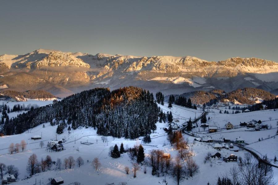 Pensiunea Edera