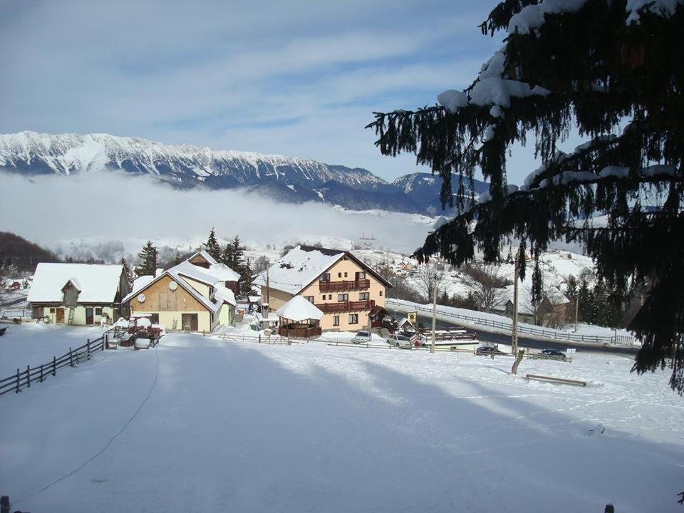 Pensiunea Edera