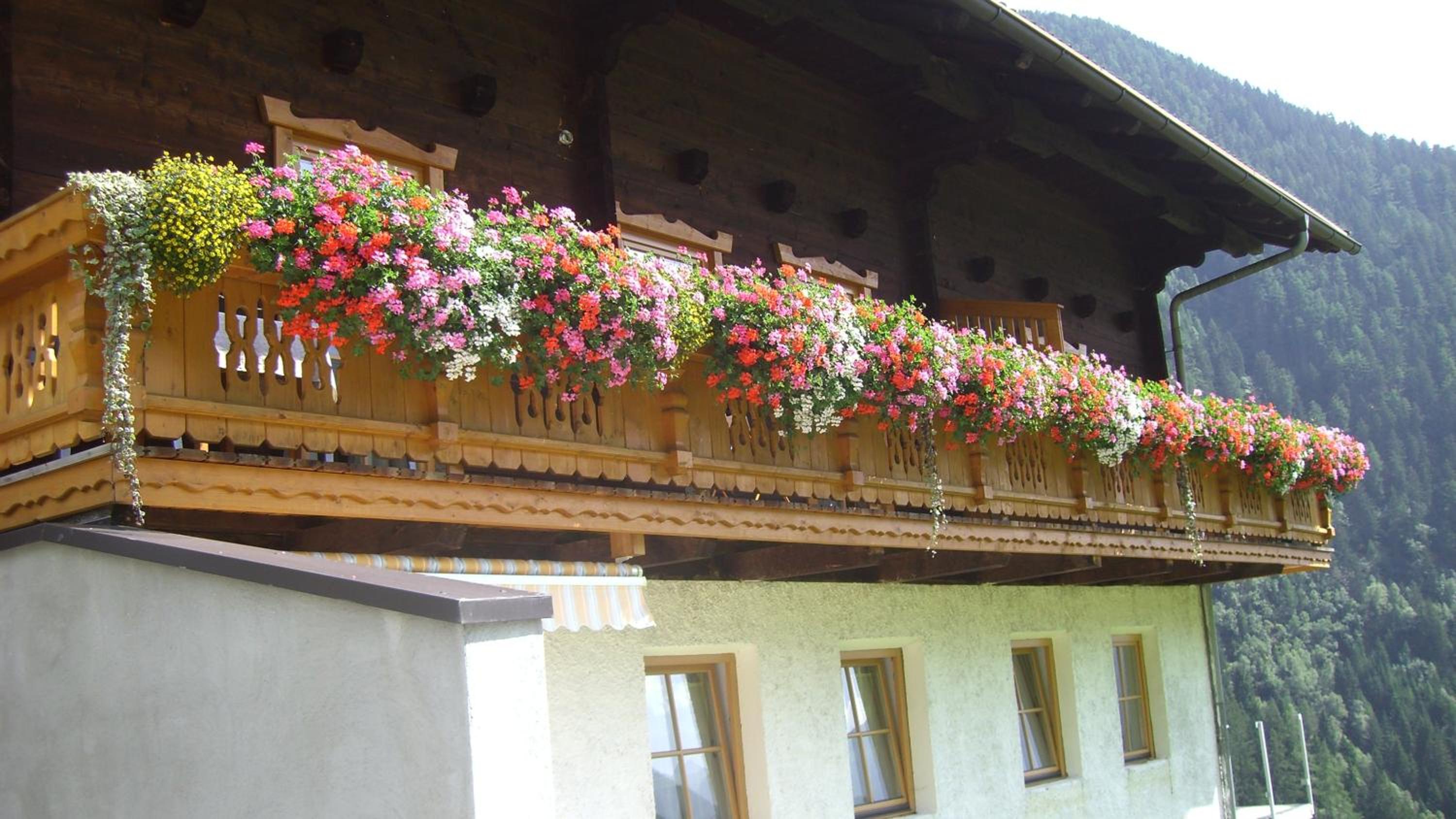 Ferienwohnungen Niederarnigerhof Familie Bauernfeind