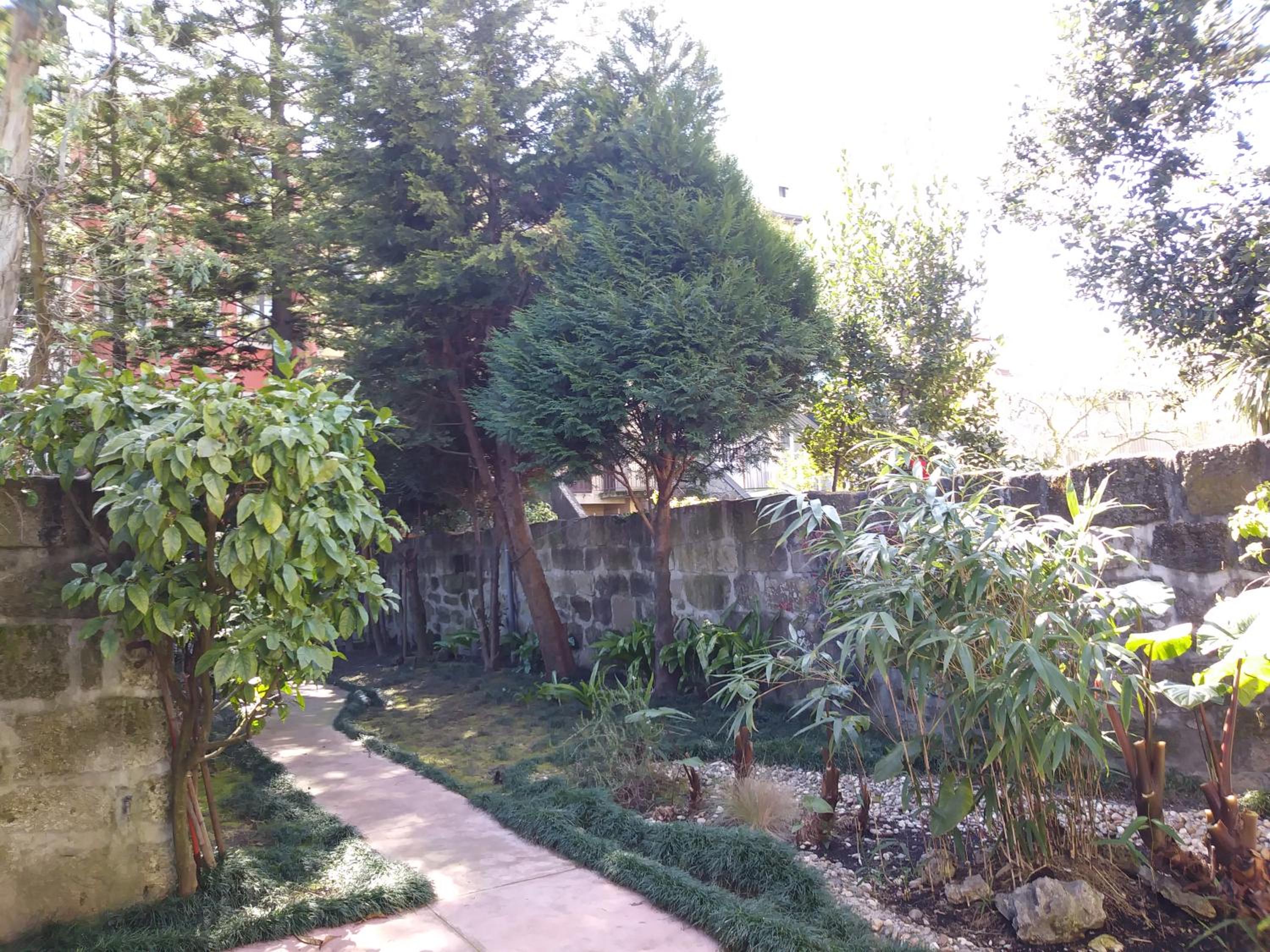 Photo 35