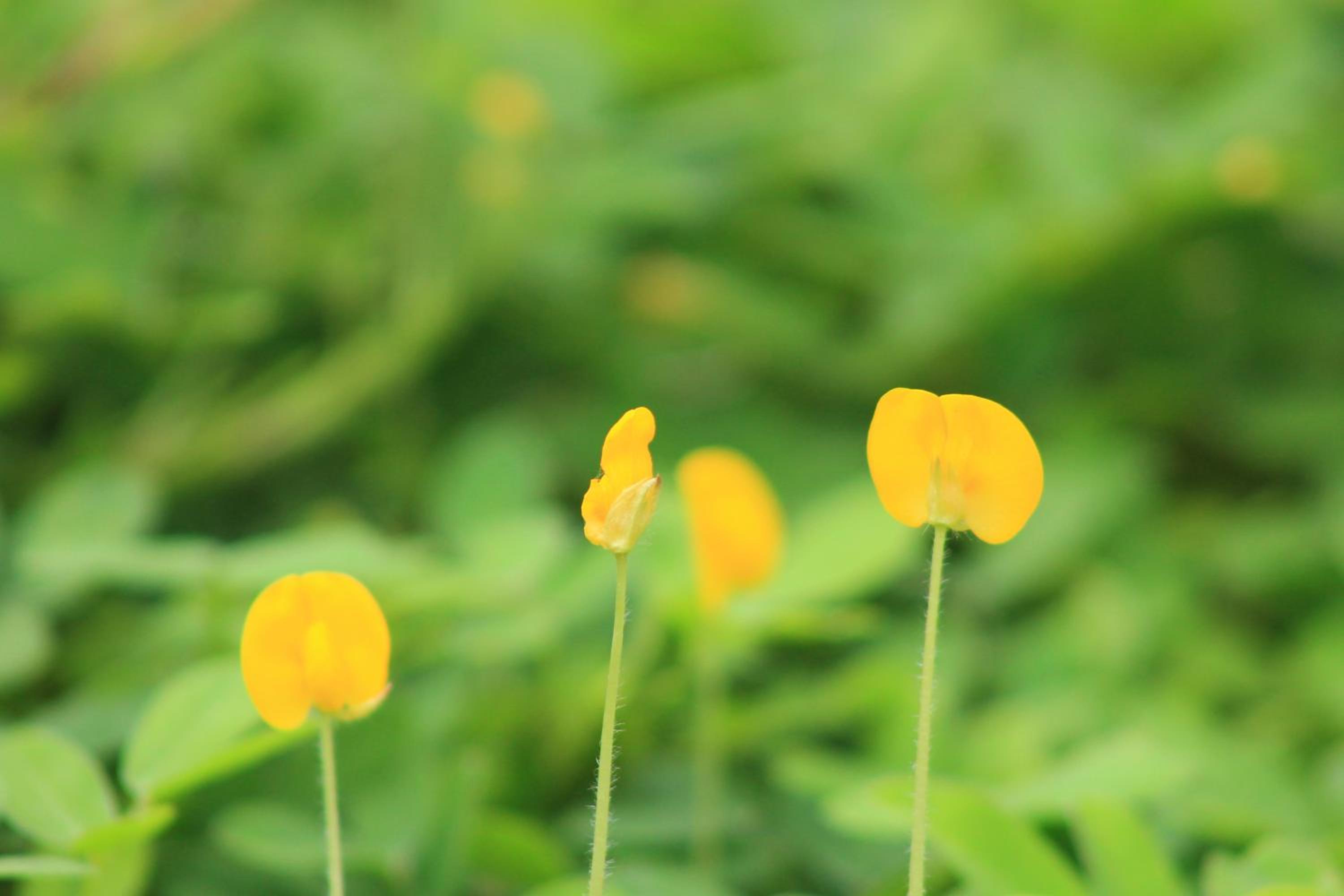 Cuc Phuong Mineral Resort Ninh Binh