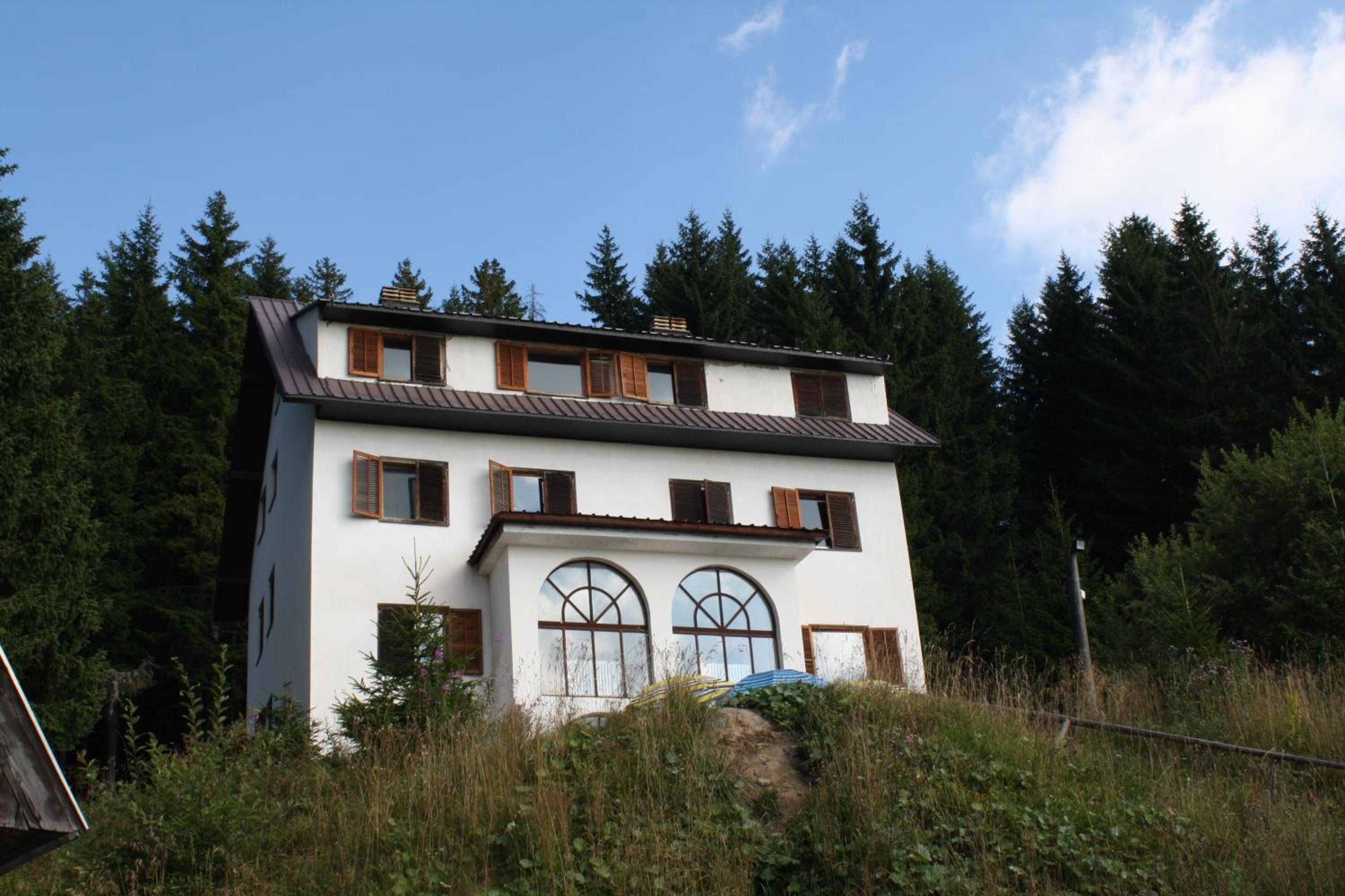 Villa Kostic Kopaonik view 3