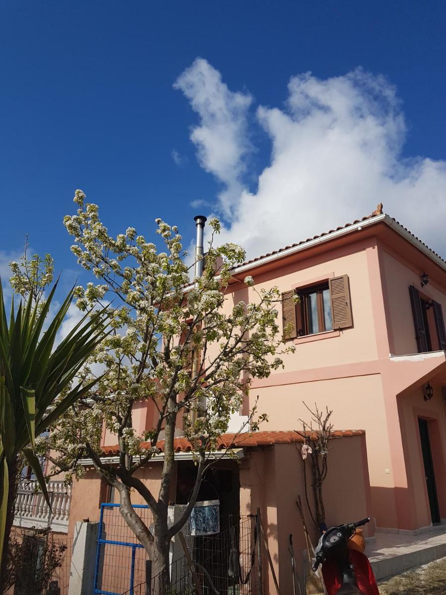 Luxury Villa 3min from the famous Shipwreck photo 3