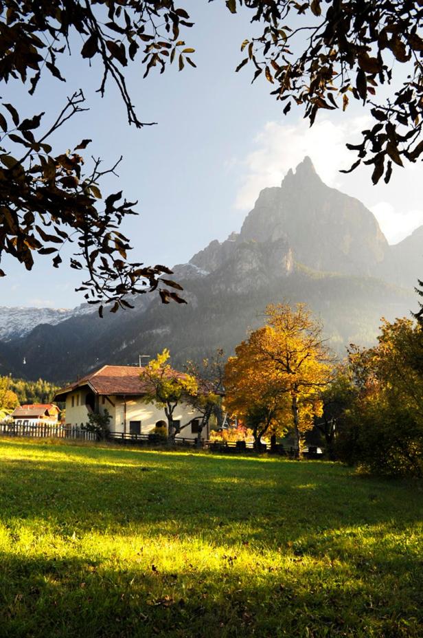 Villa Tilia view 5